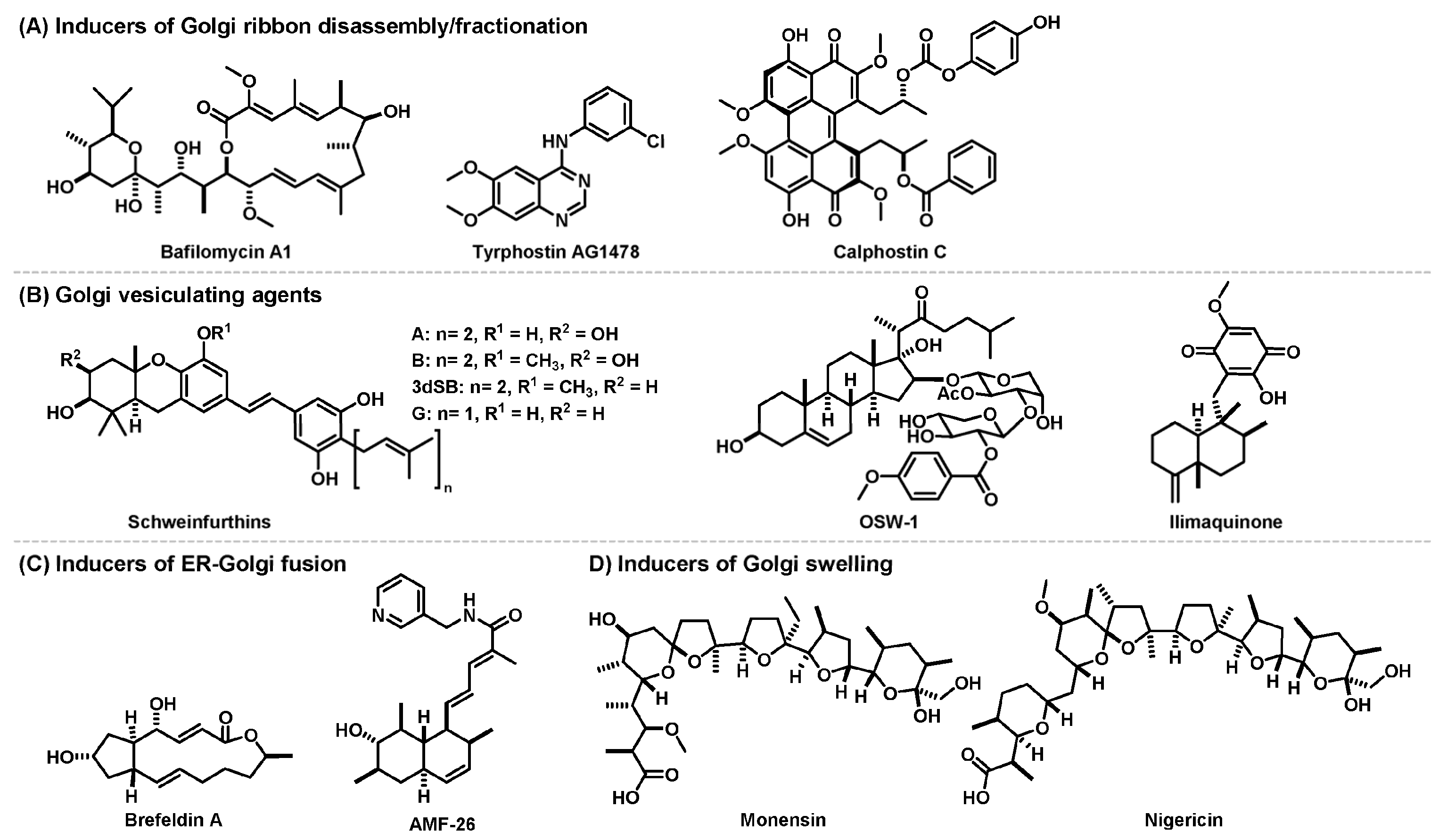 Cancers 15 02086 g003