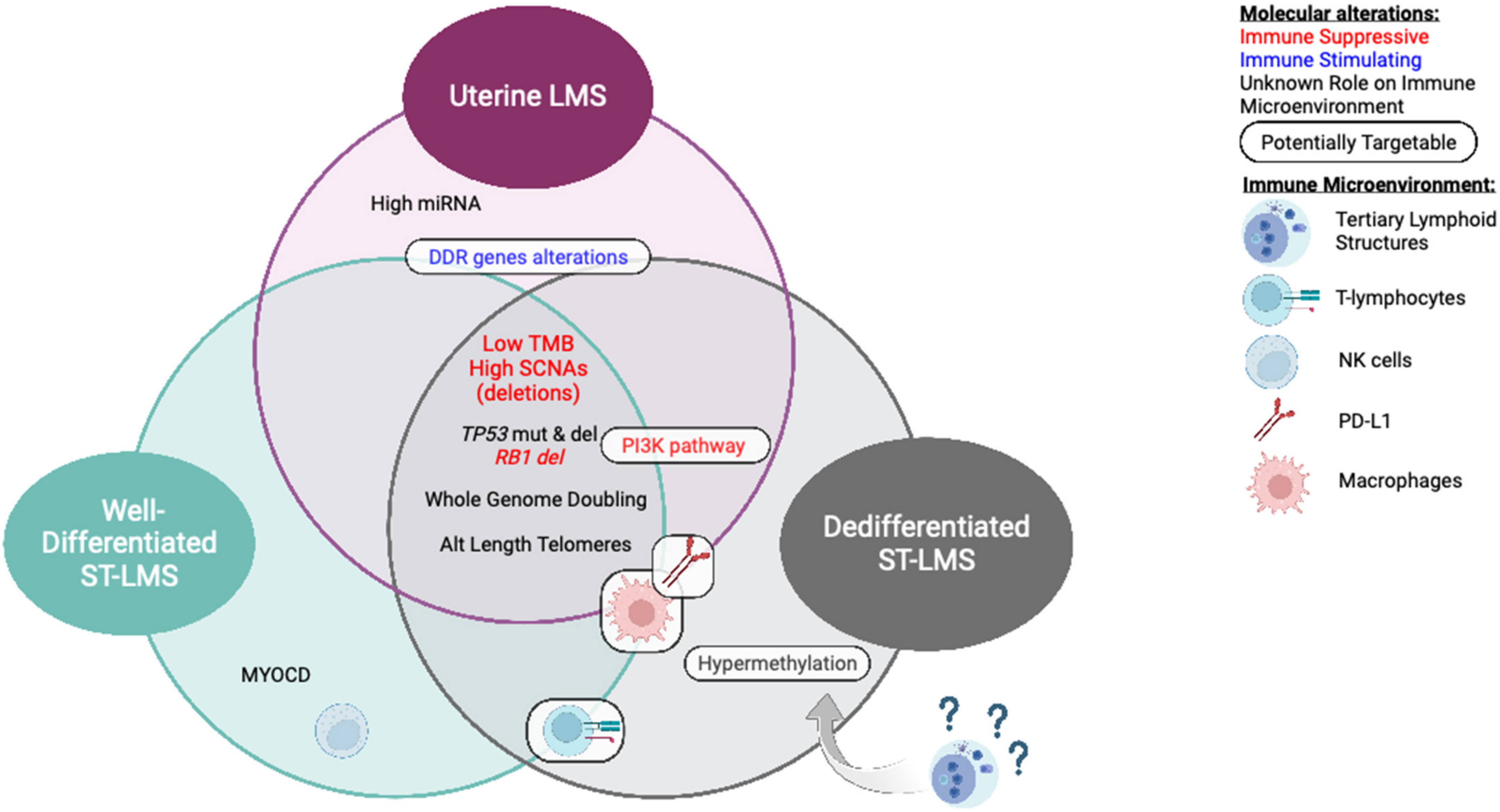 Cancers 15 02099 g002