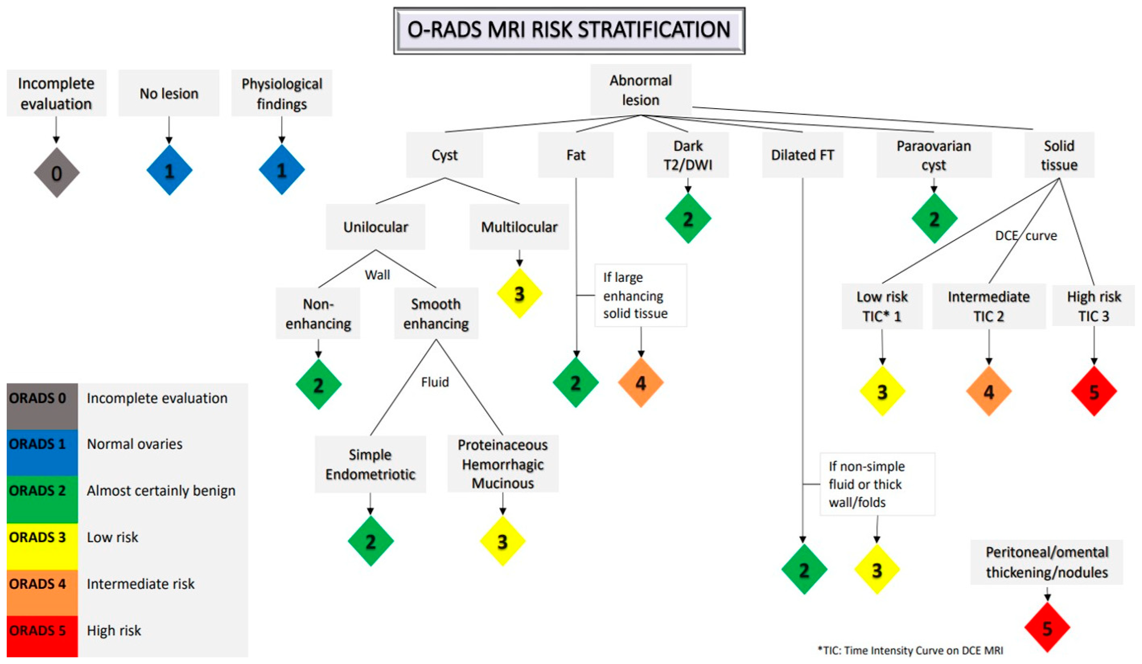 Cancers 15 02106 g002