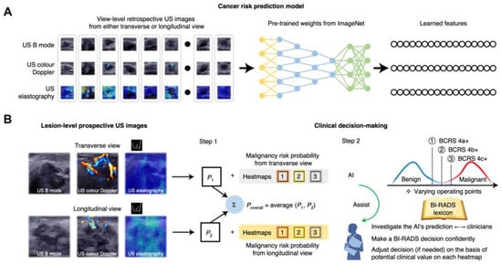 Cancers 15 02112 g002