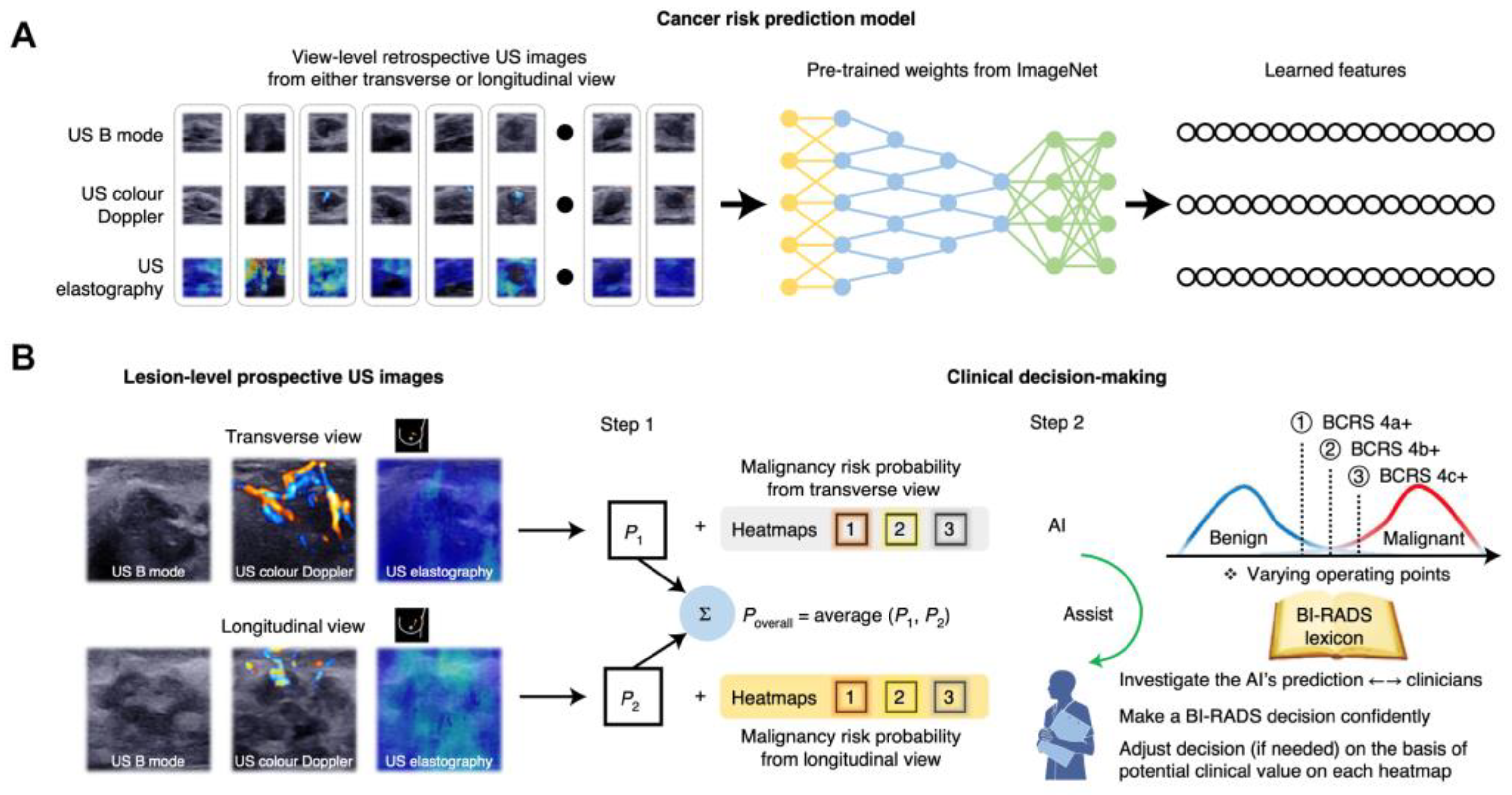Cancers 15 02112 g002