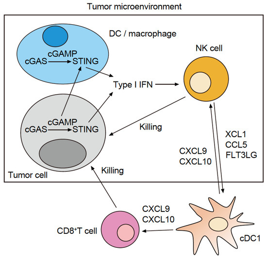Cancers 15 02114 g002