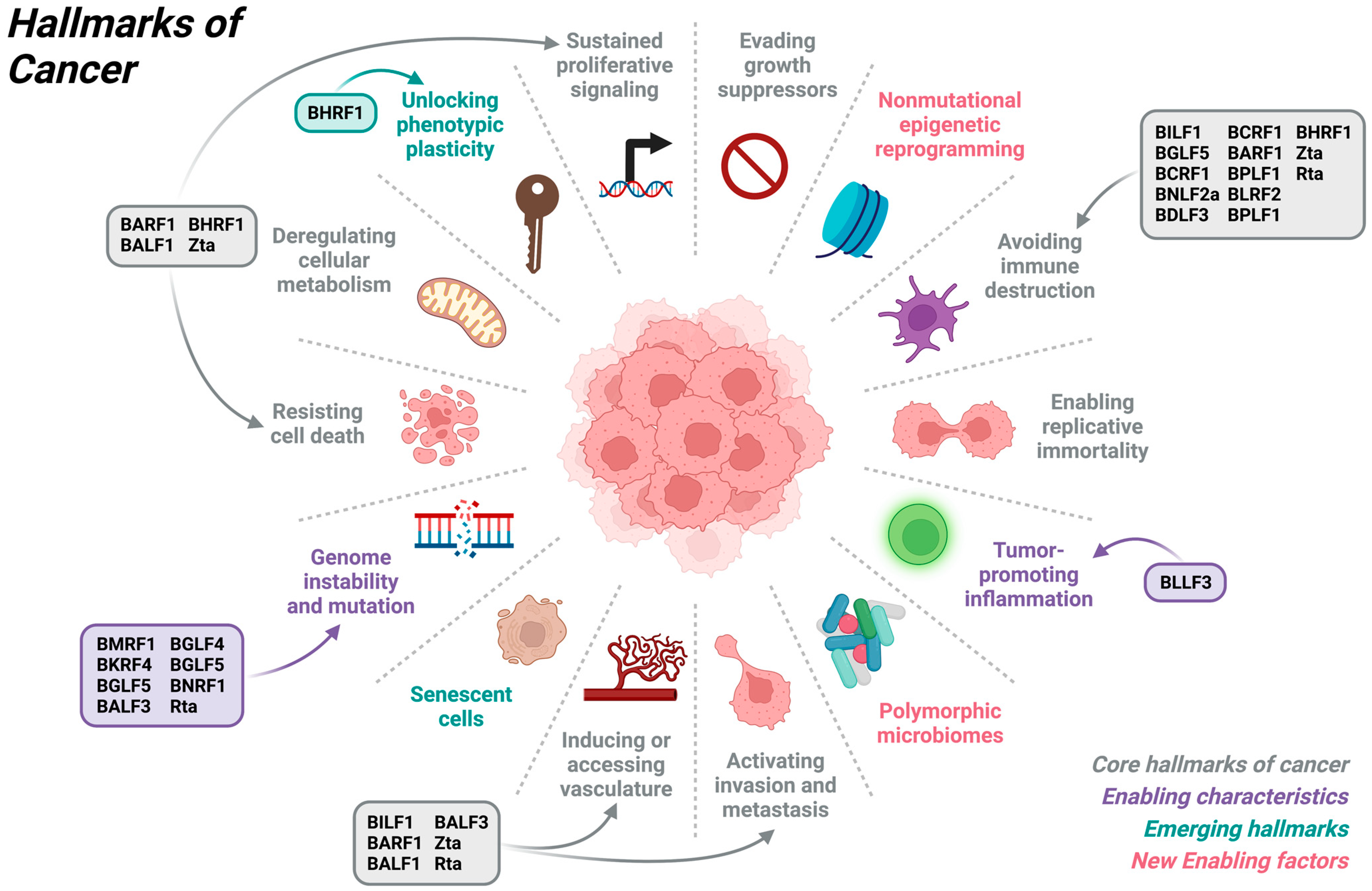 Cancers 15 02120 g001