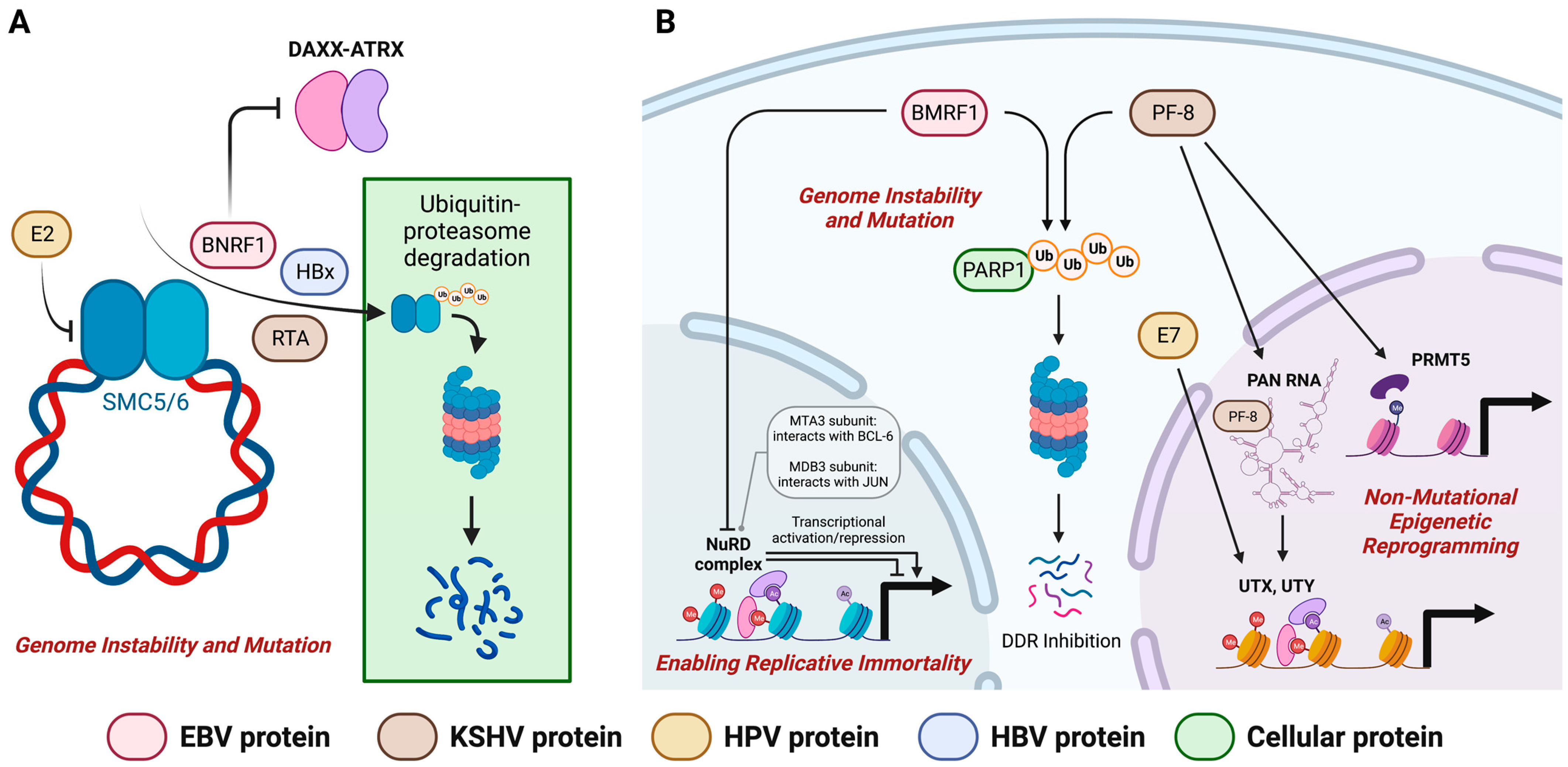 Cancers 15 02120 g004
