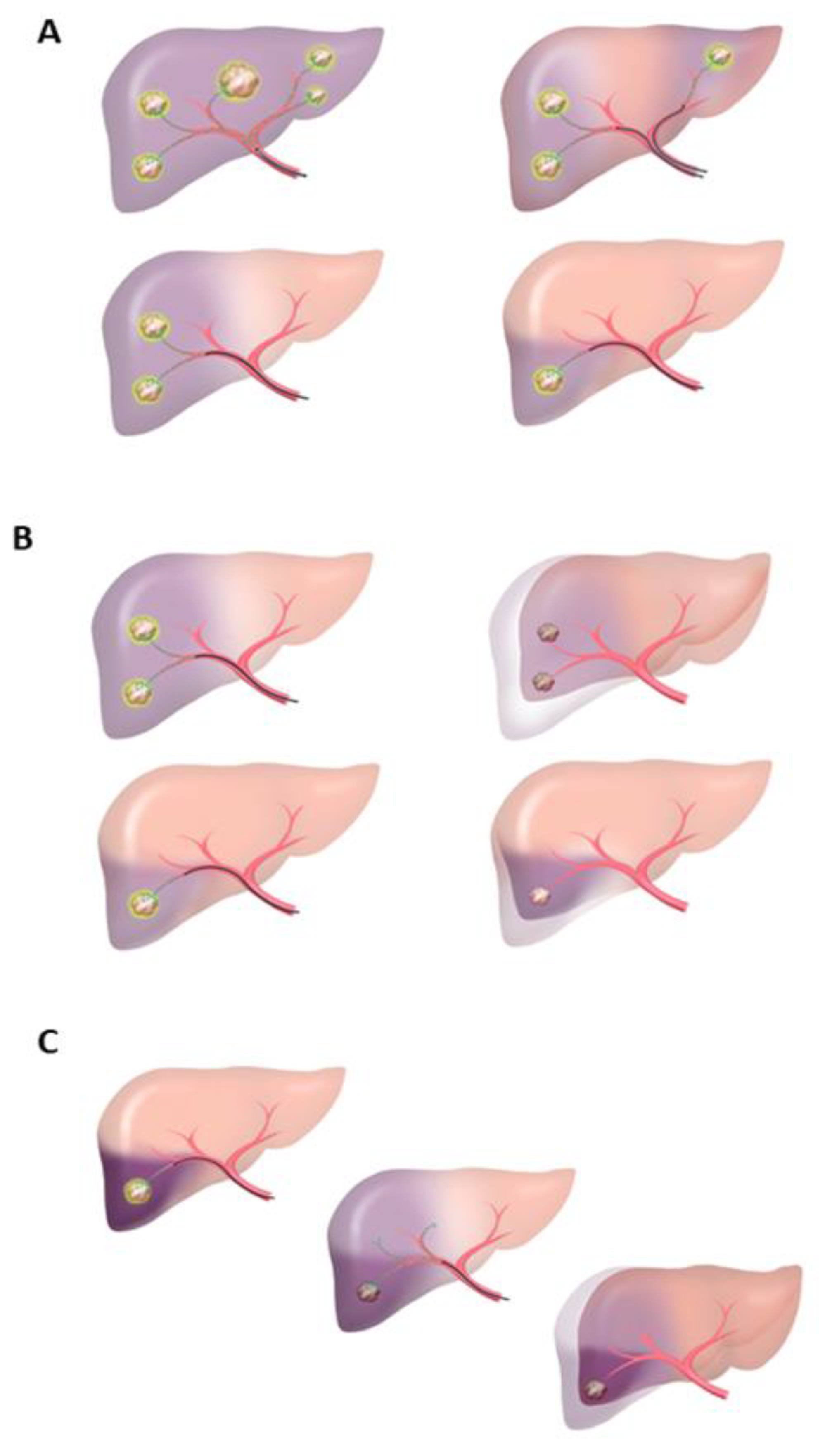 Cancers 15 02122 g002 Cancers 15 02122 g002