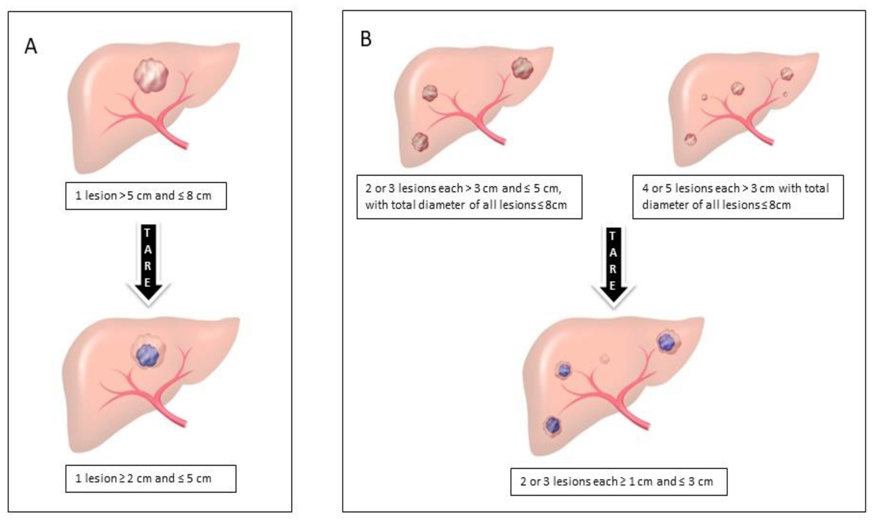 Cancers 15 02122 g005 Cancers 15 02122 g005