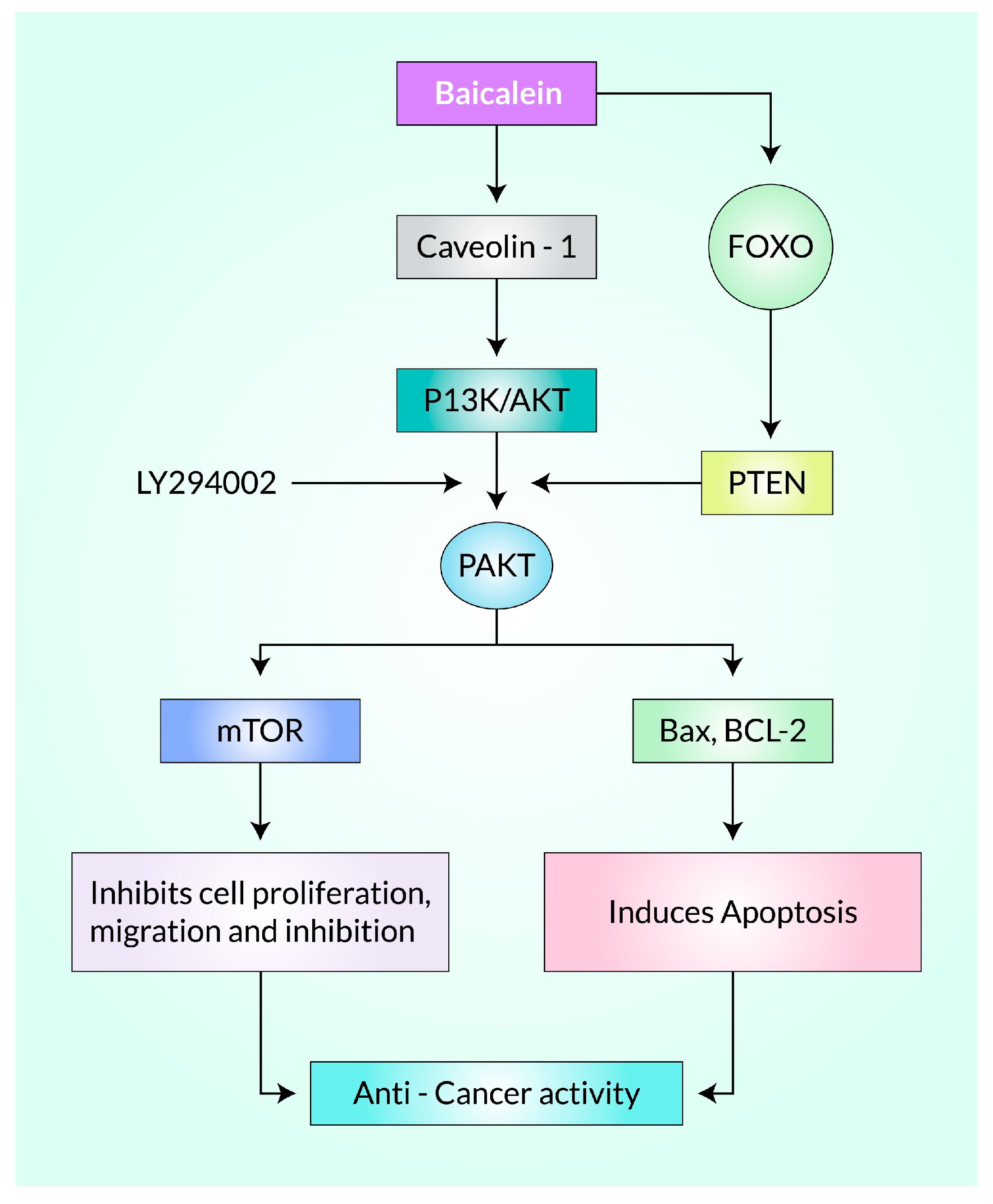 Cancers 15 02128 g007 Cancers 15 02128 g007