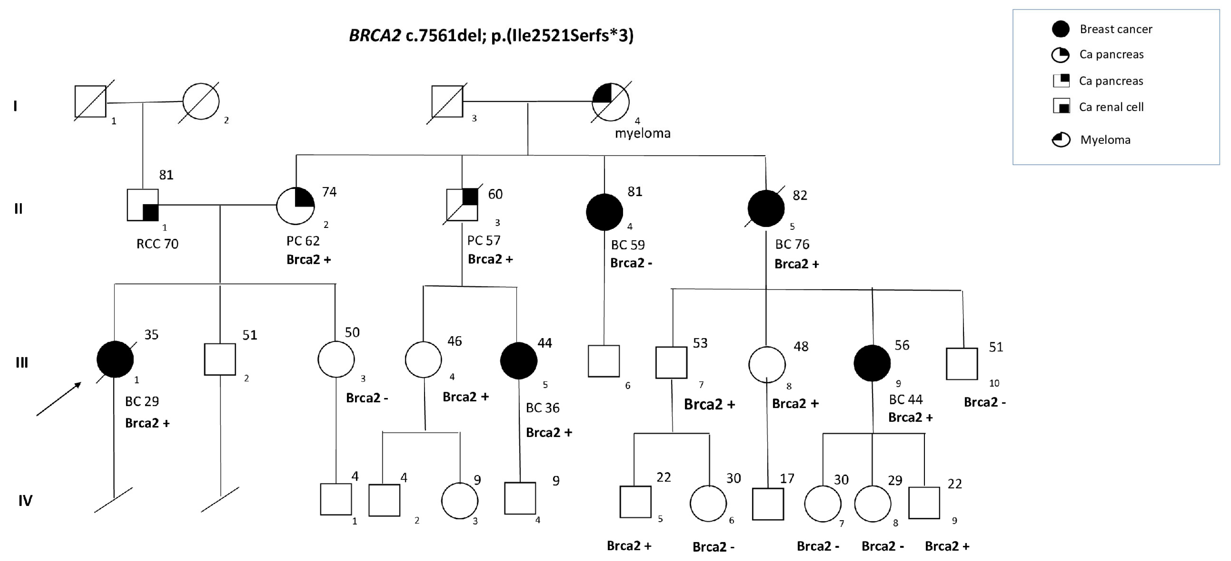 Cancers 15 02132 g001