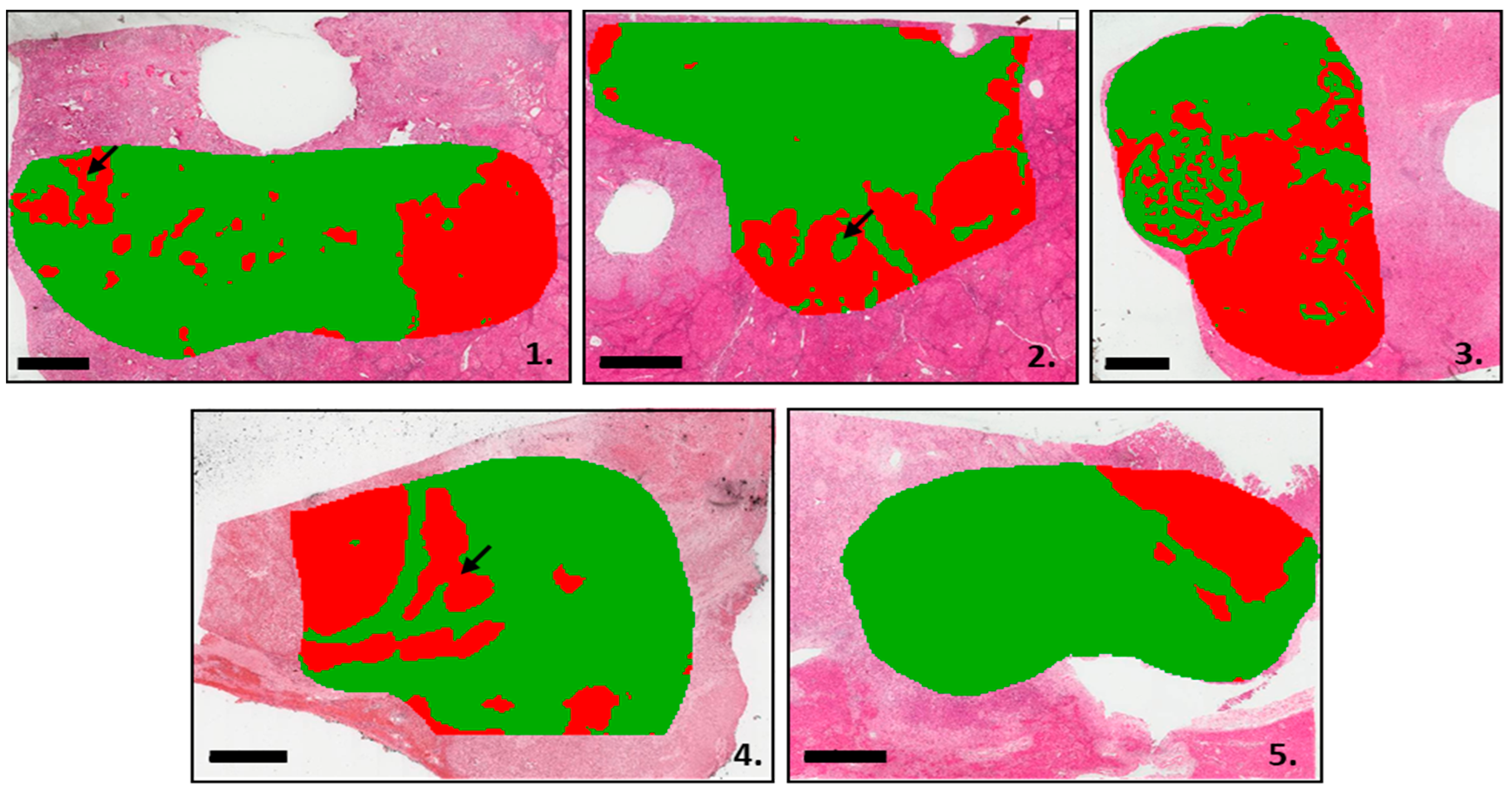Cancers 15 02143 g001