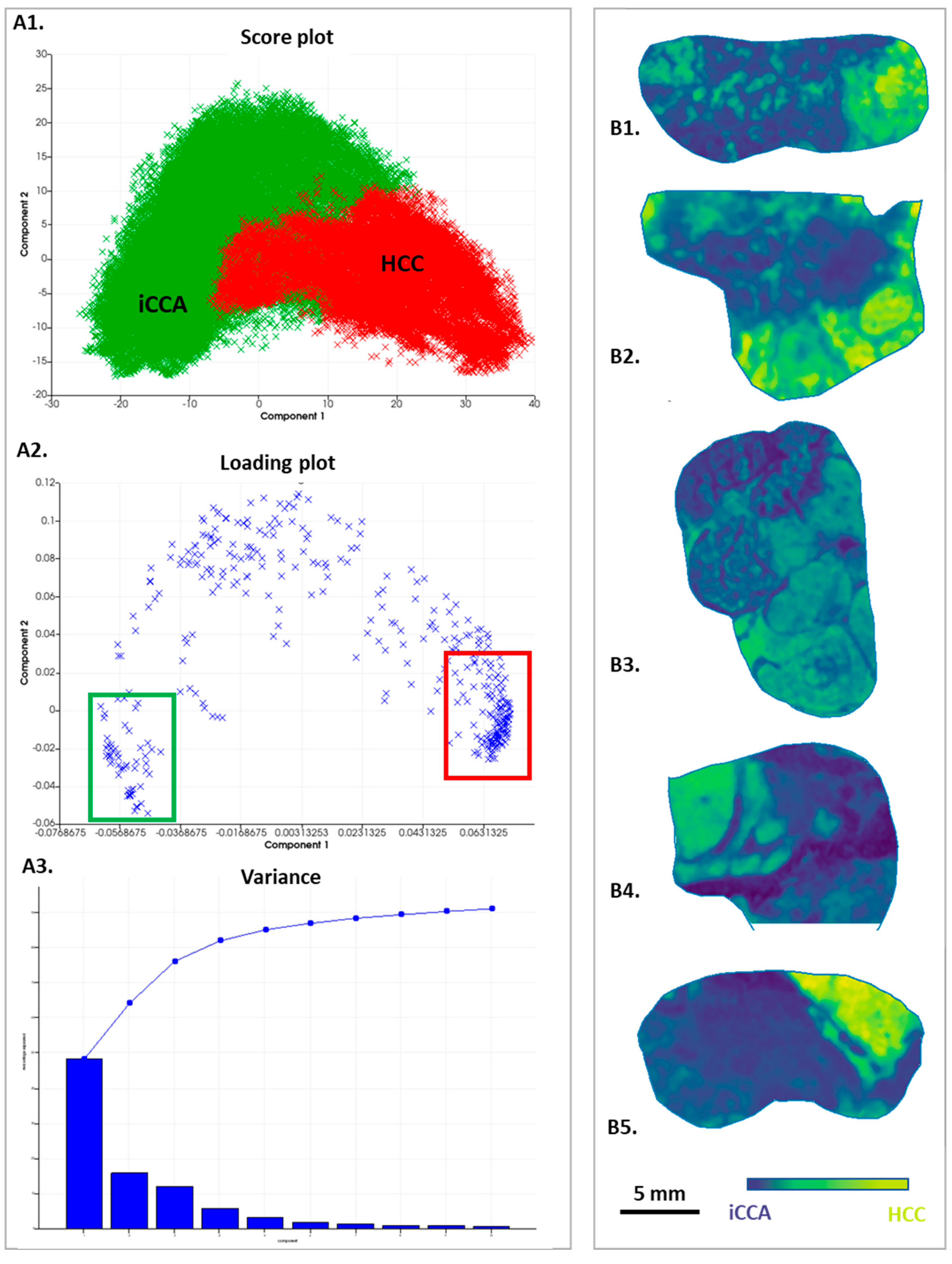 Cancers 15 02143 g003