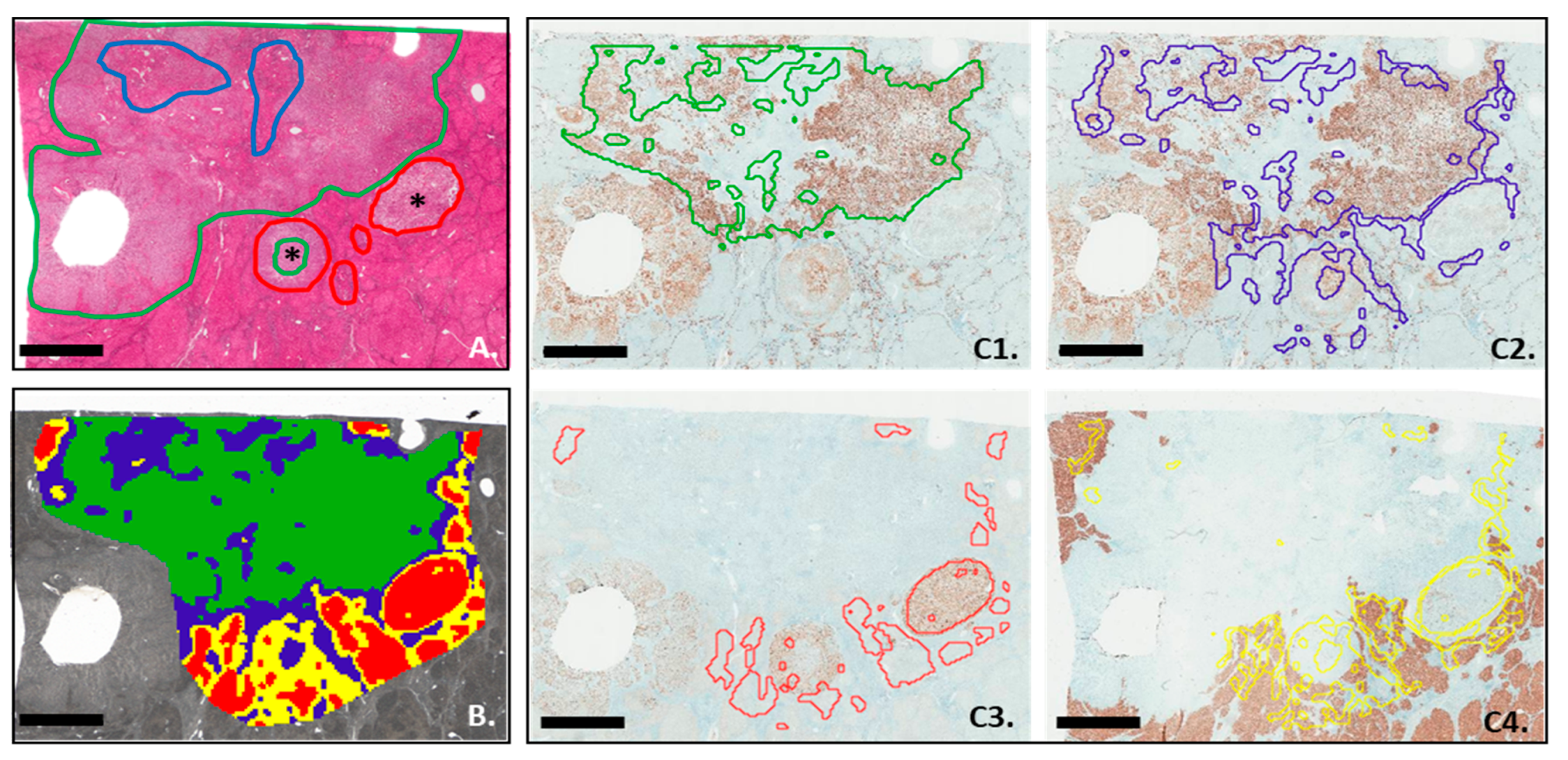 Cancers 15 02143 g004