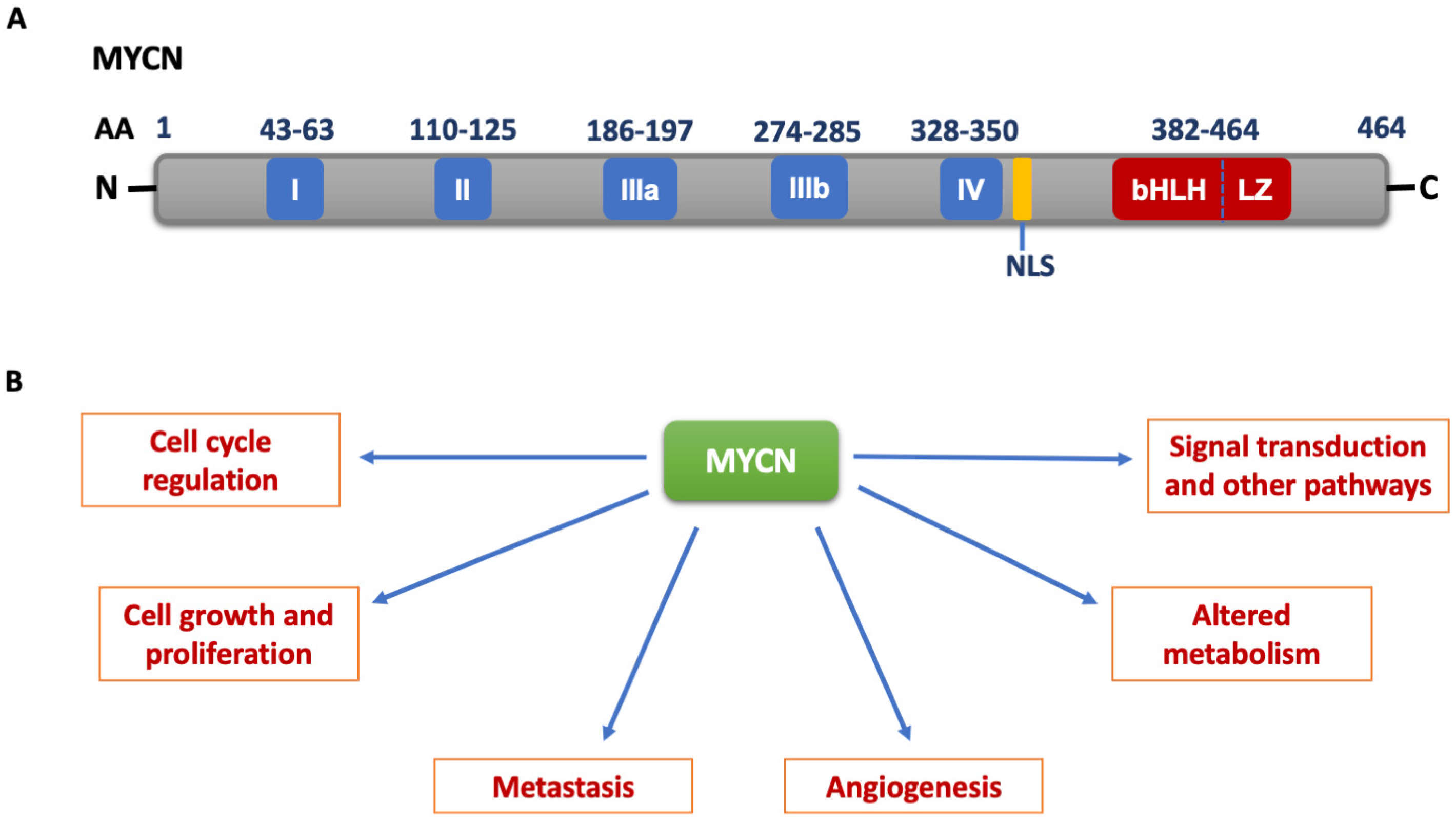 Cancers 15 02144 g001 Cancers 15 02144 g001