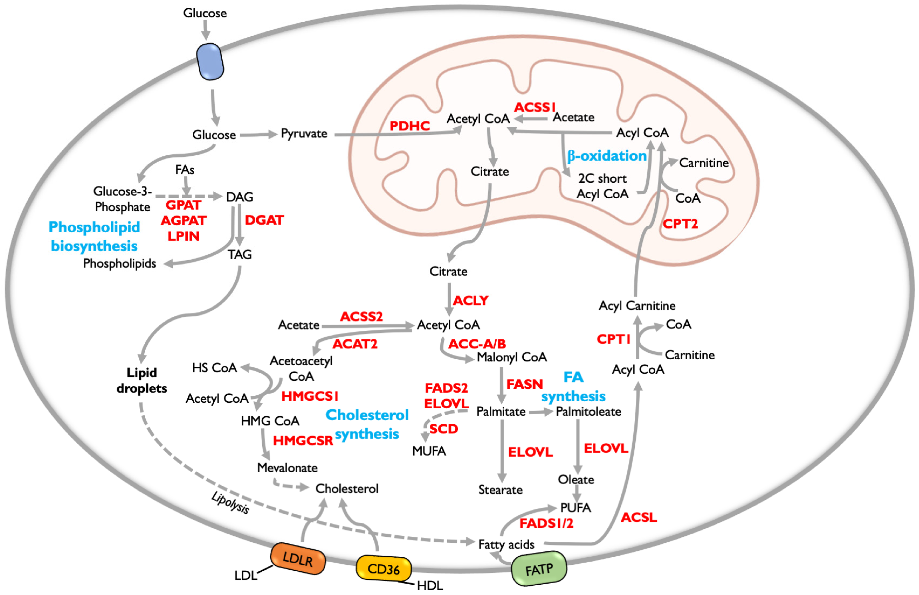 Cancers 15 02144 g002 Cancers 15 02144 g002