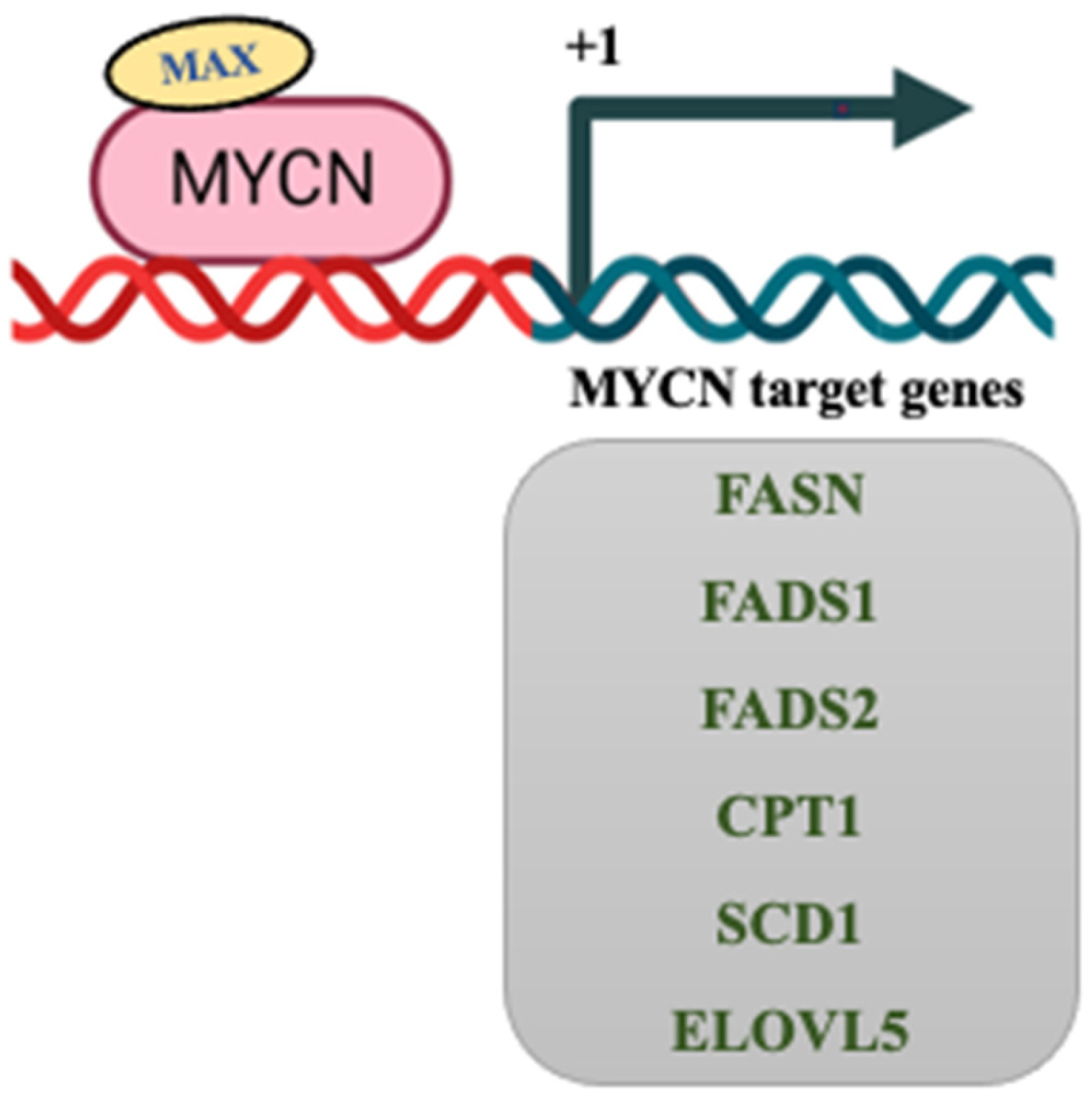 Cancers 15 02144 g004 Cancers 15 02144 g004