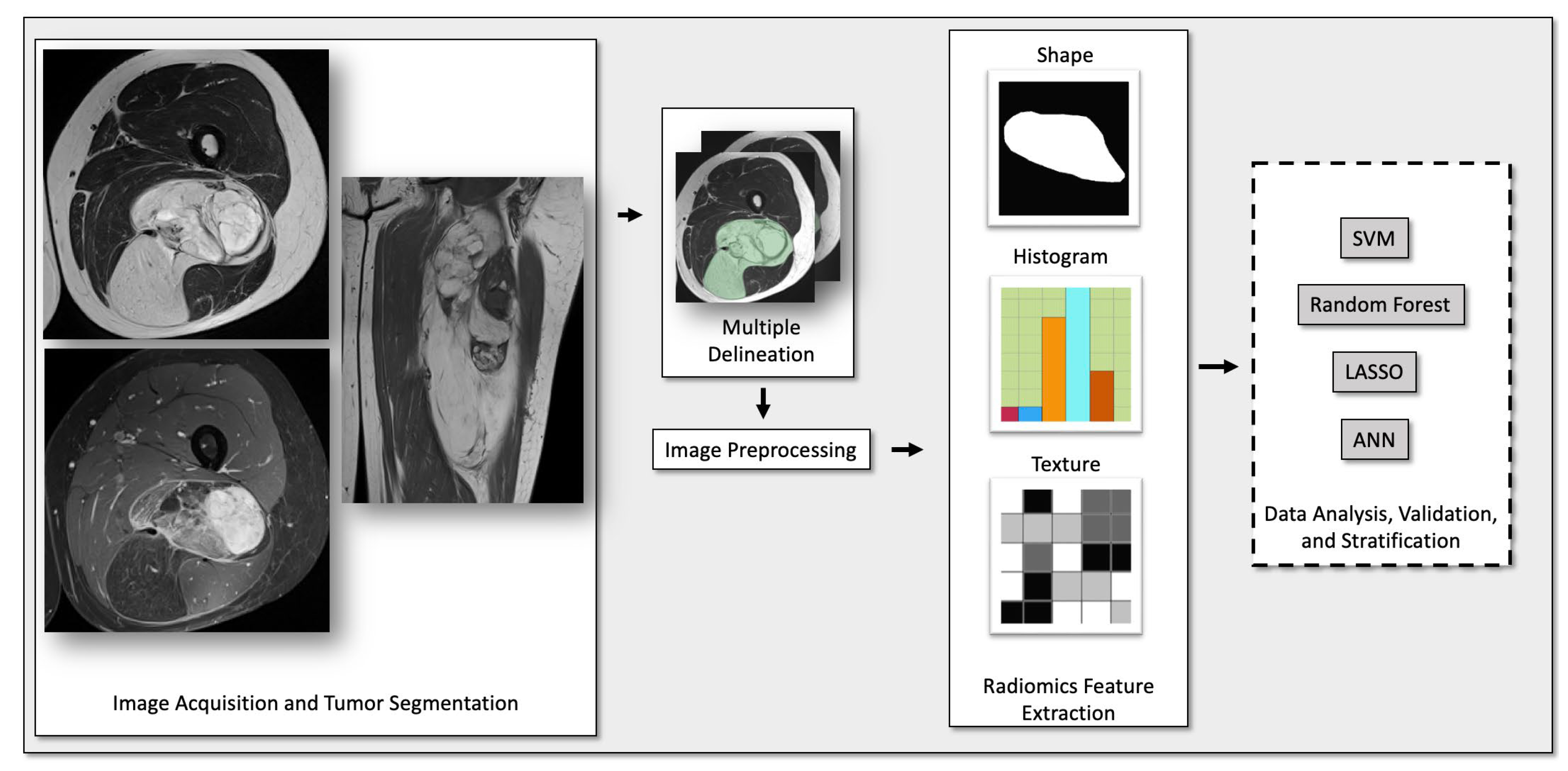 Cancers 15 02150 g002