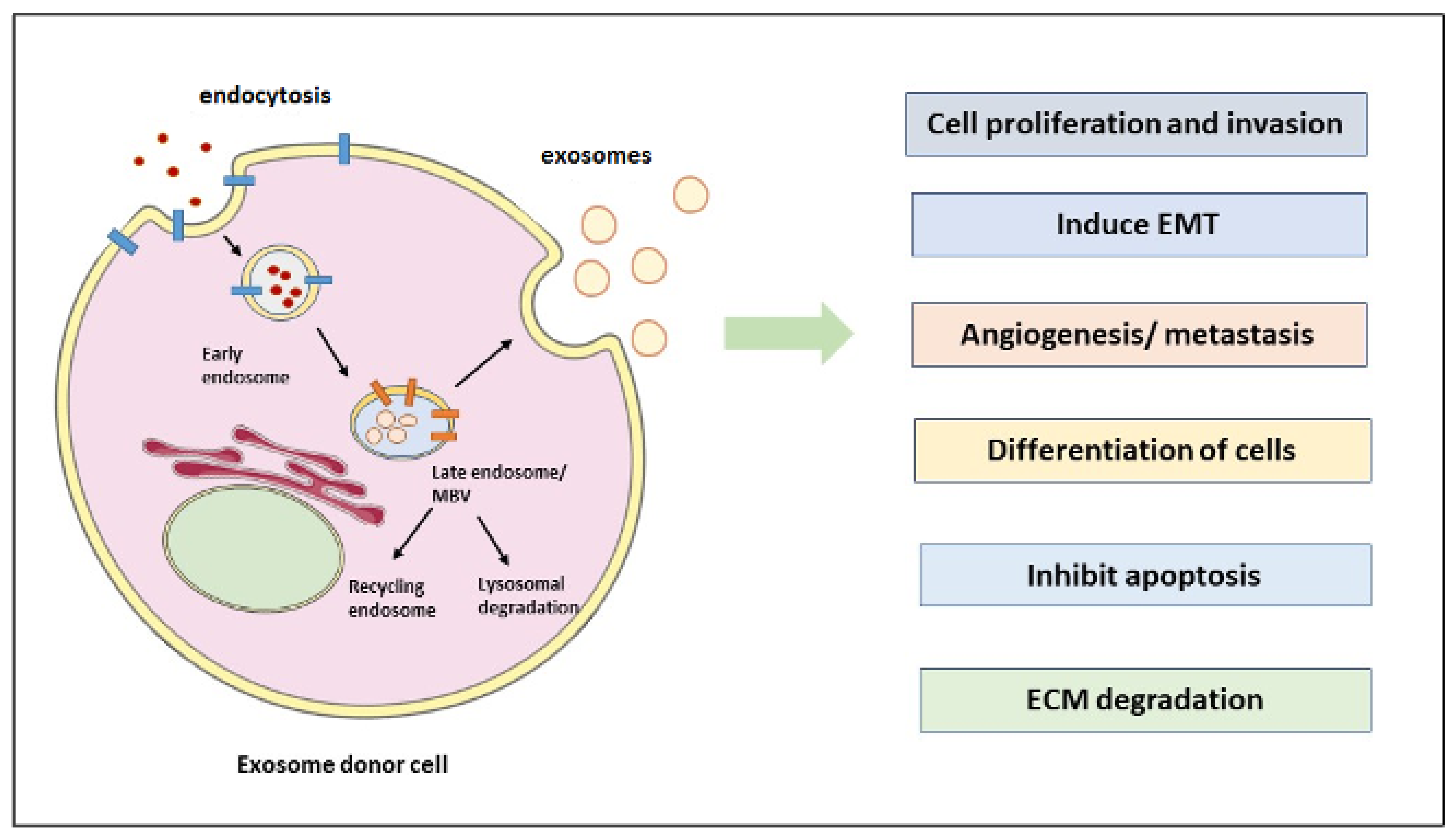 Cancers 15 02156 g001