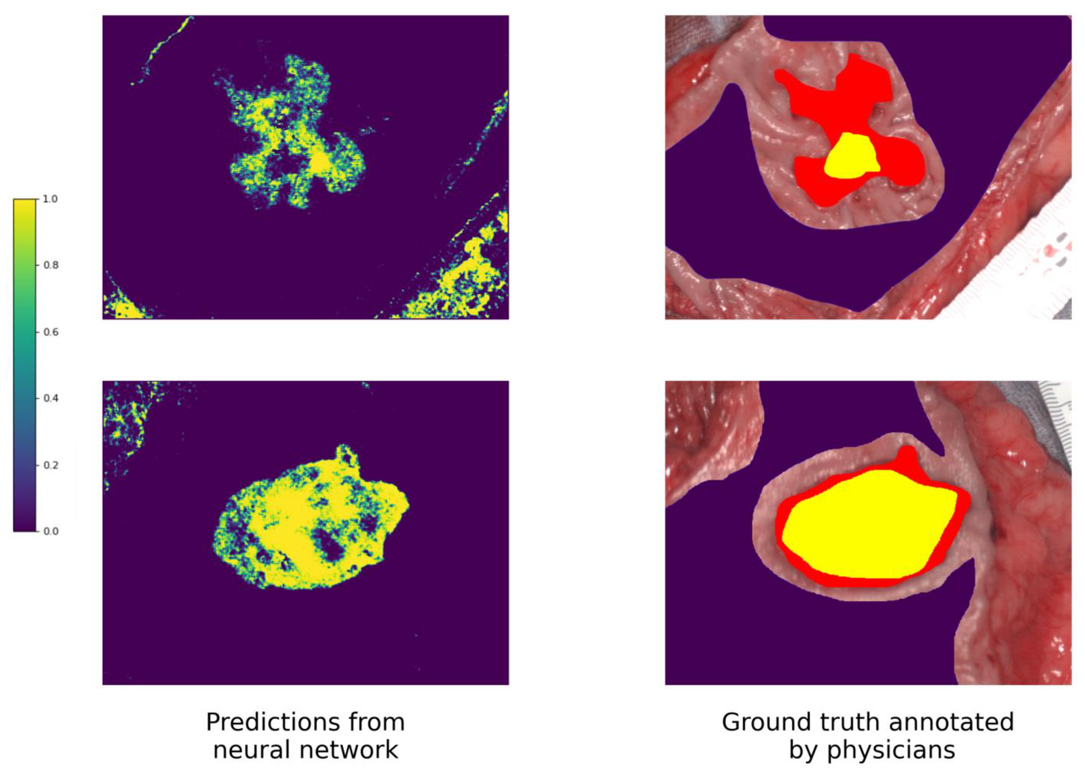 Cancers 15 02157 g007