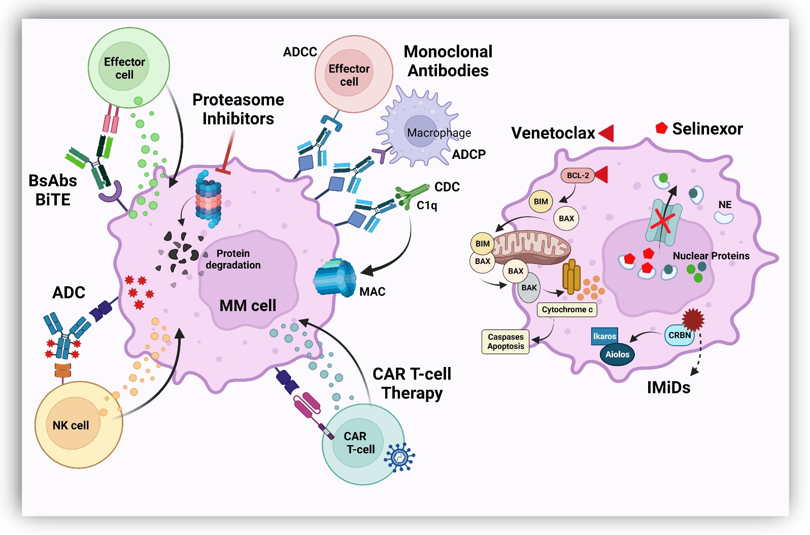 Cancers 15 02160 g001