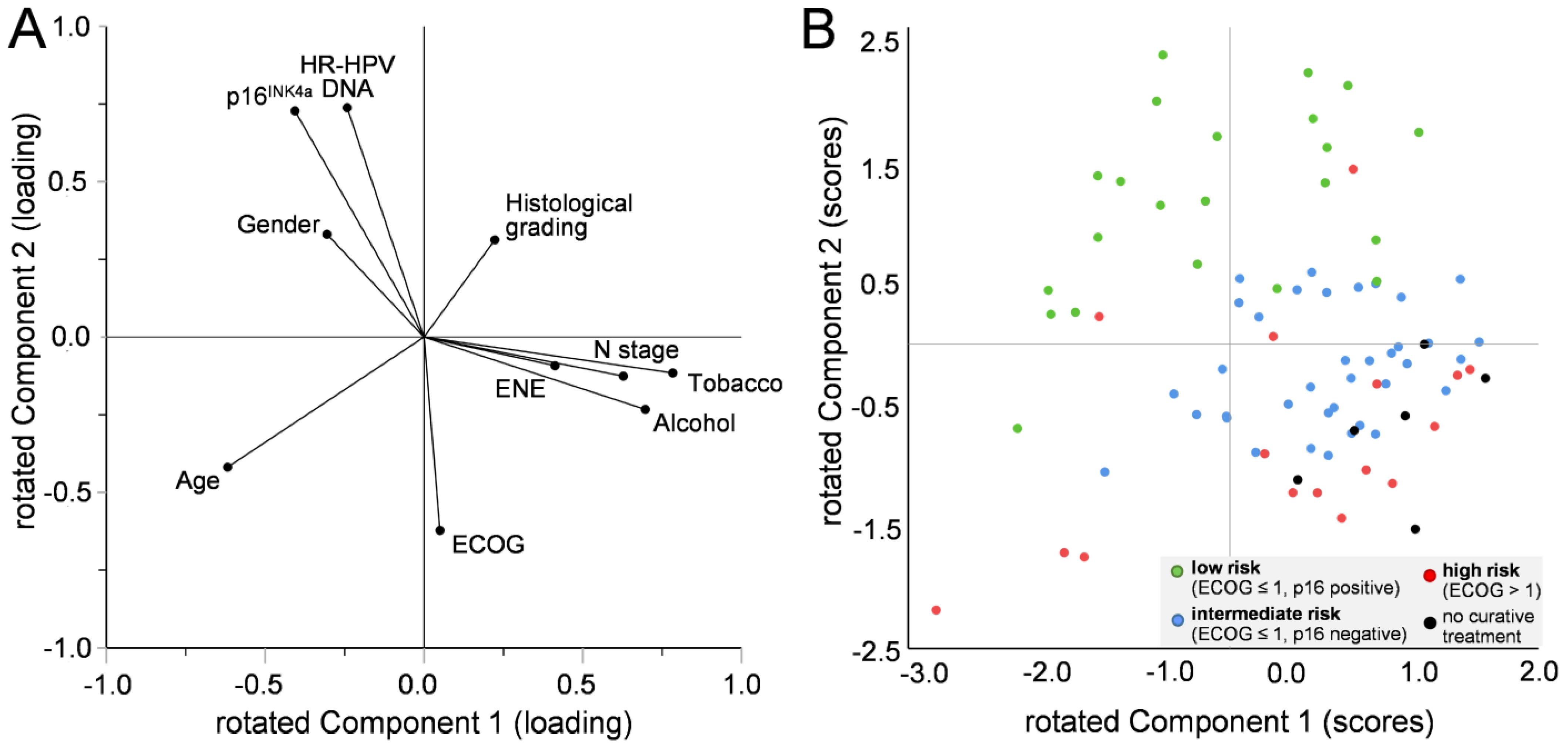 Cancers 15 02167 g003