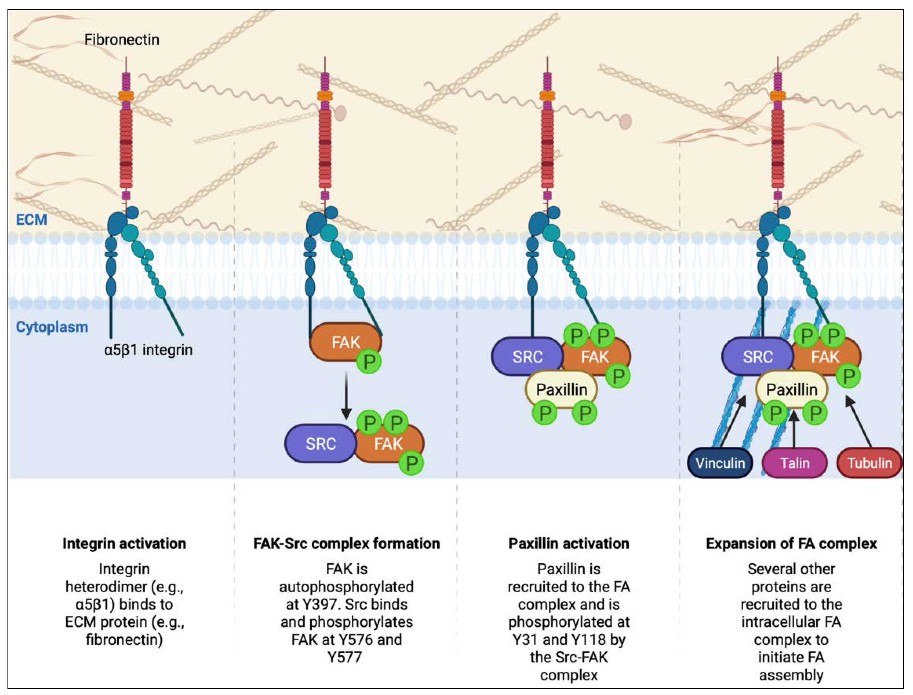 Cancers 15 02169 g003