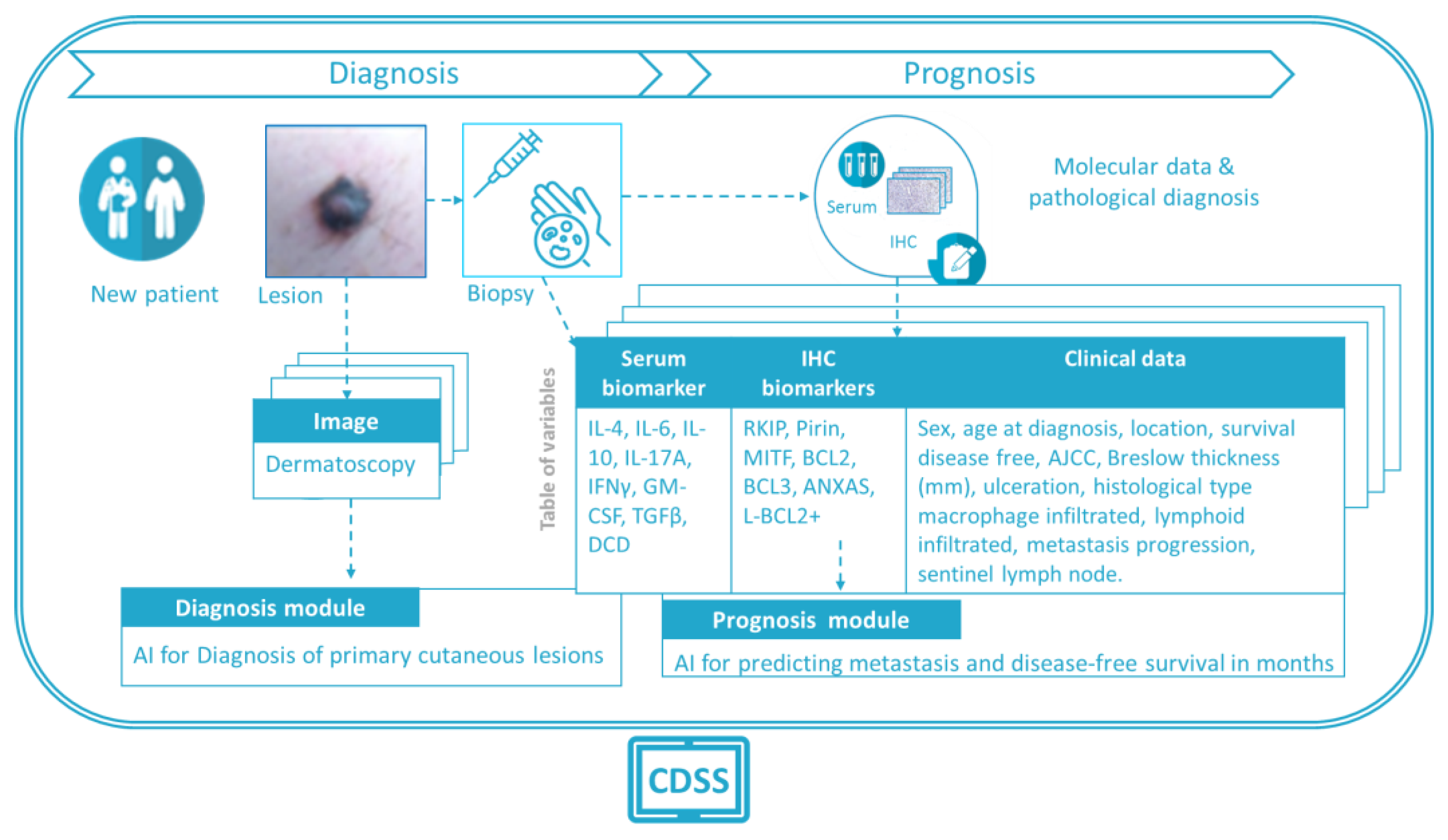 Cancers 15 02174 g002