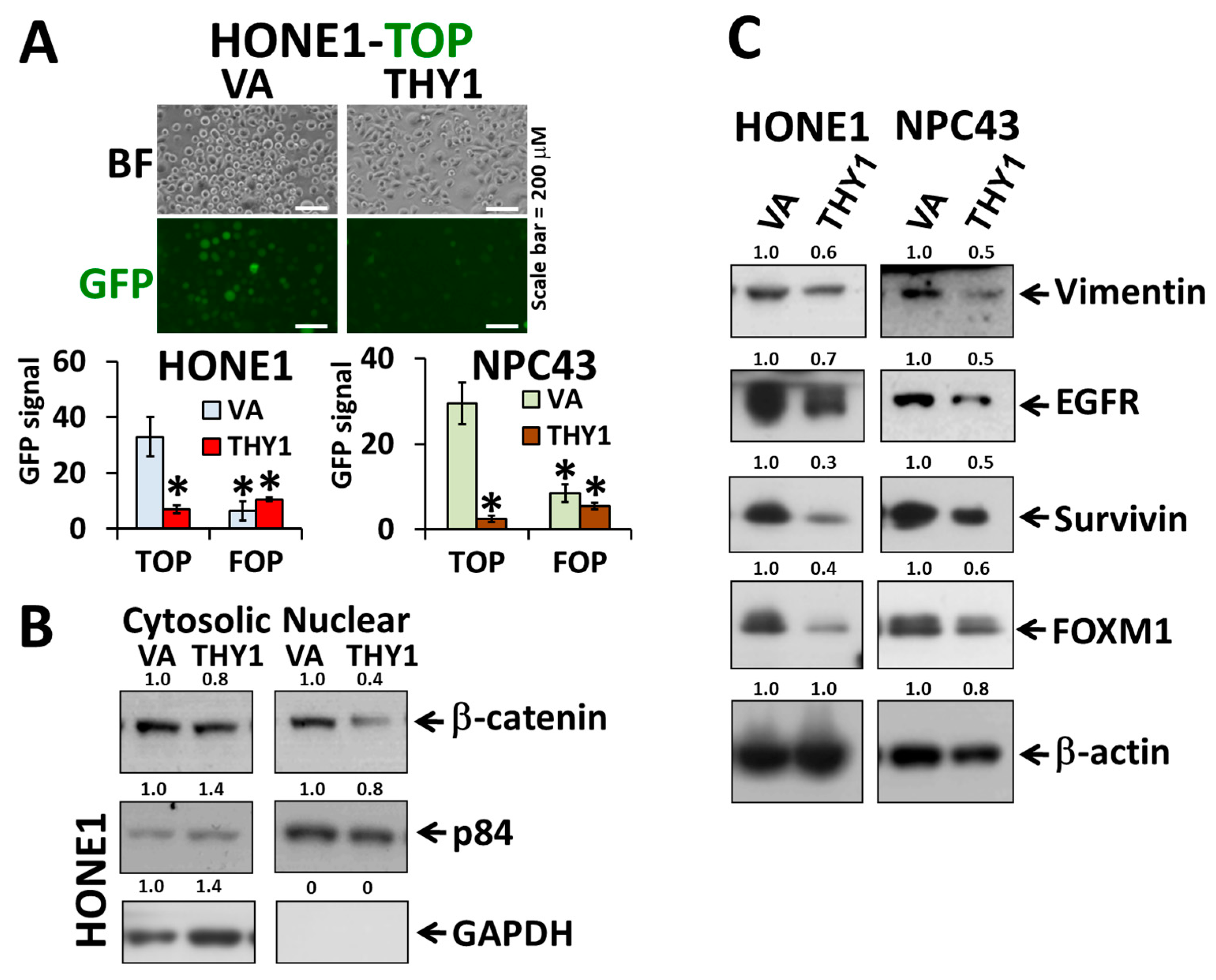 Cancers 15 02189 g002