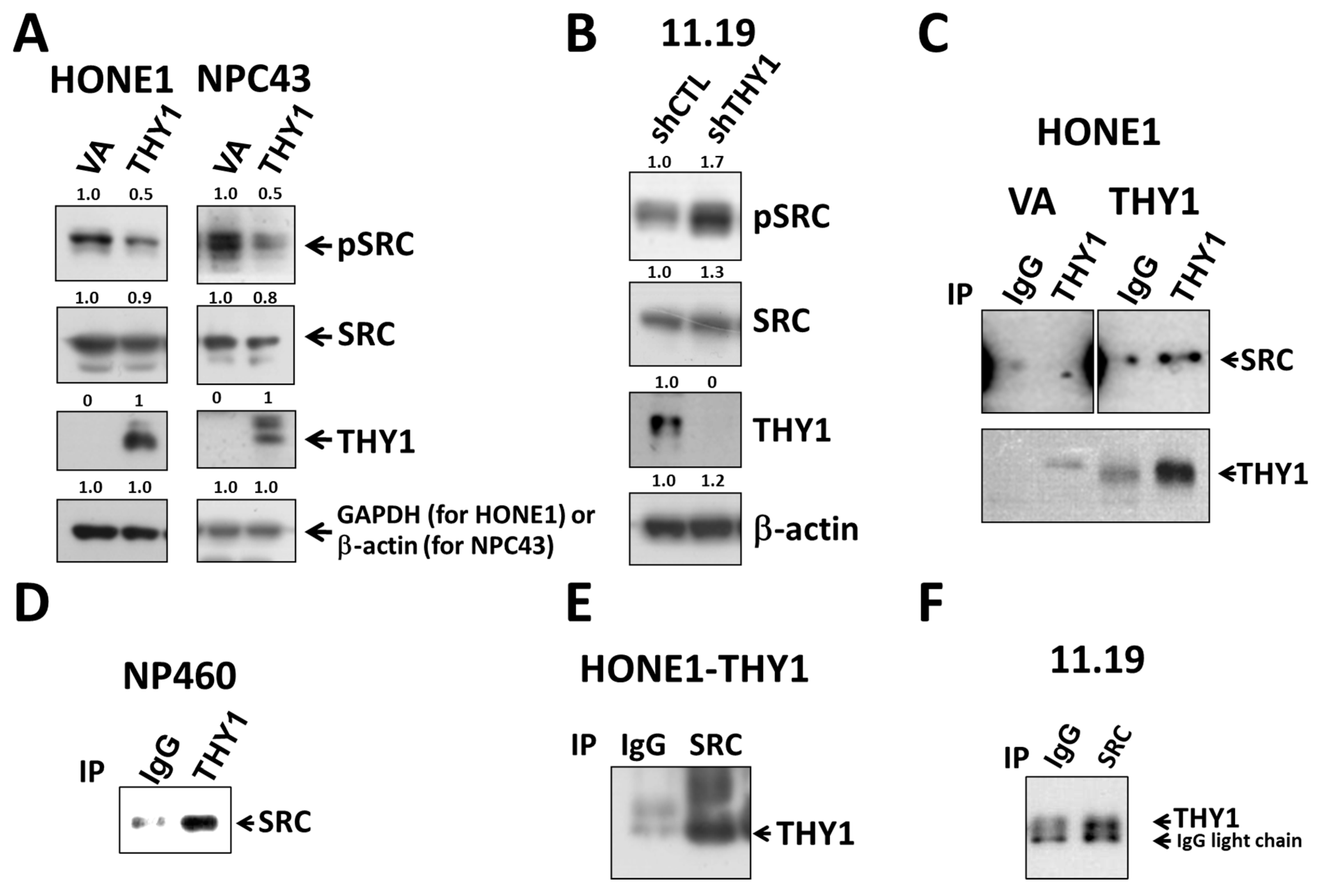 Cancers 15 02189 g003