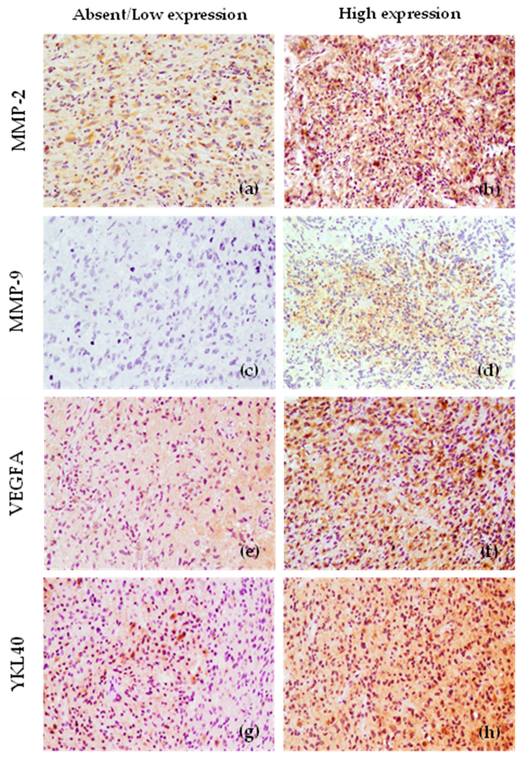 Cancers 15 02196 g001