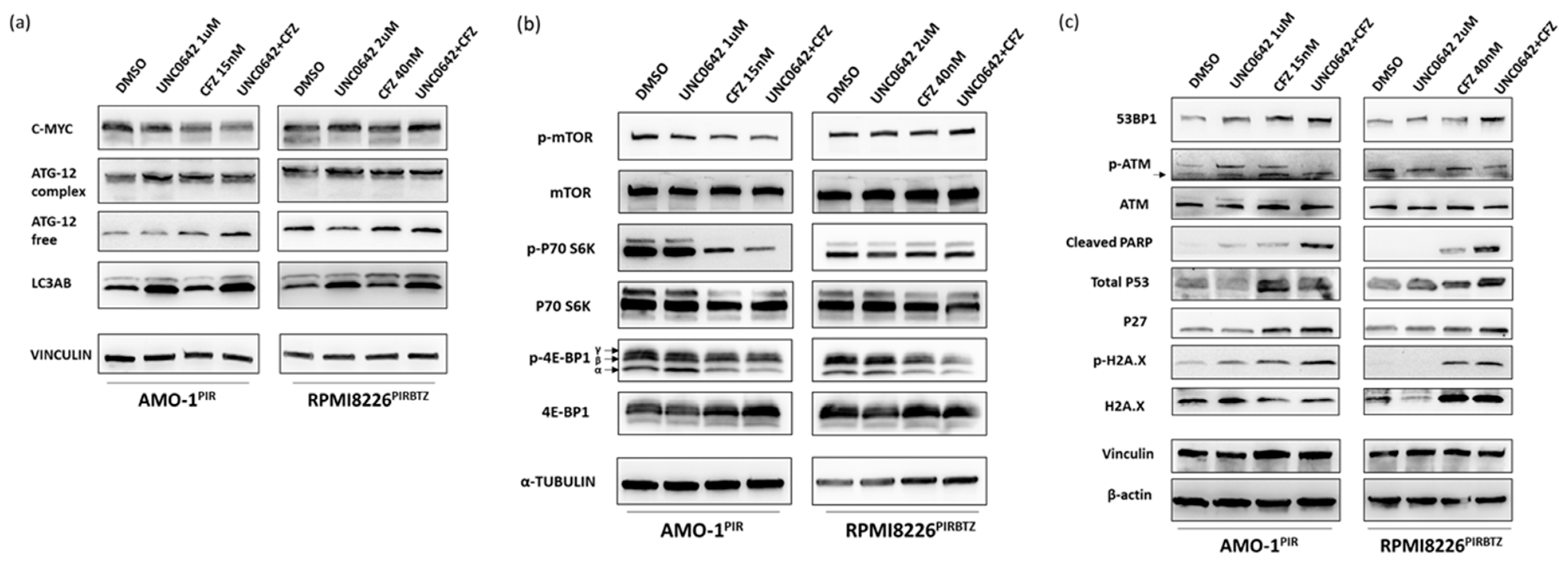 Cancers 15 02199 g006
