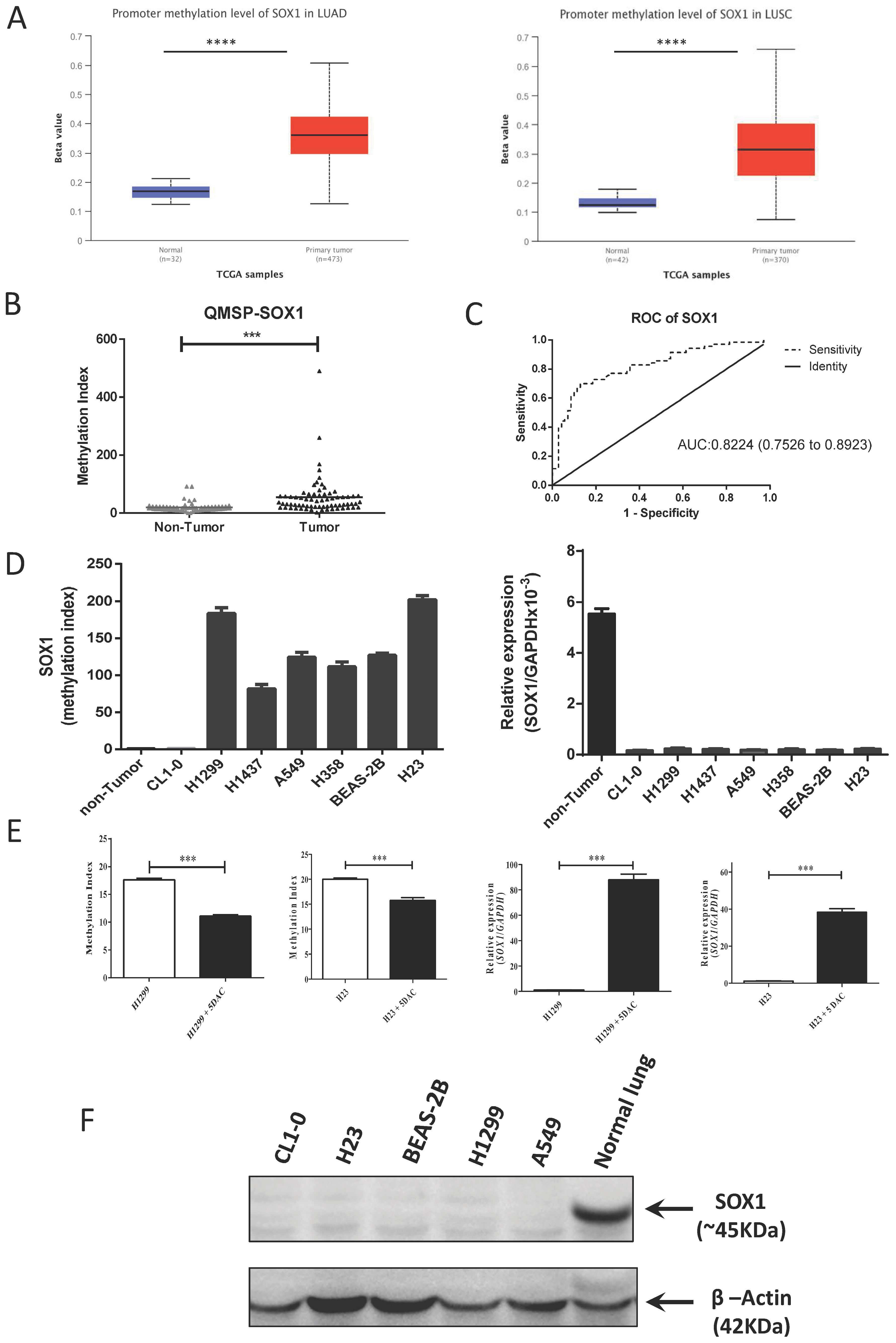 Cancers 15 02207 g001