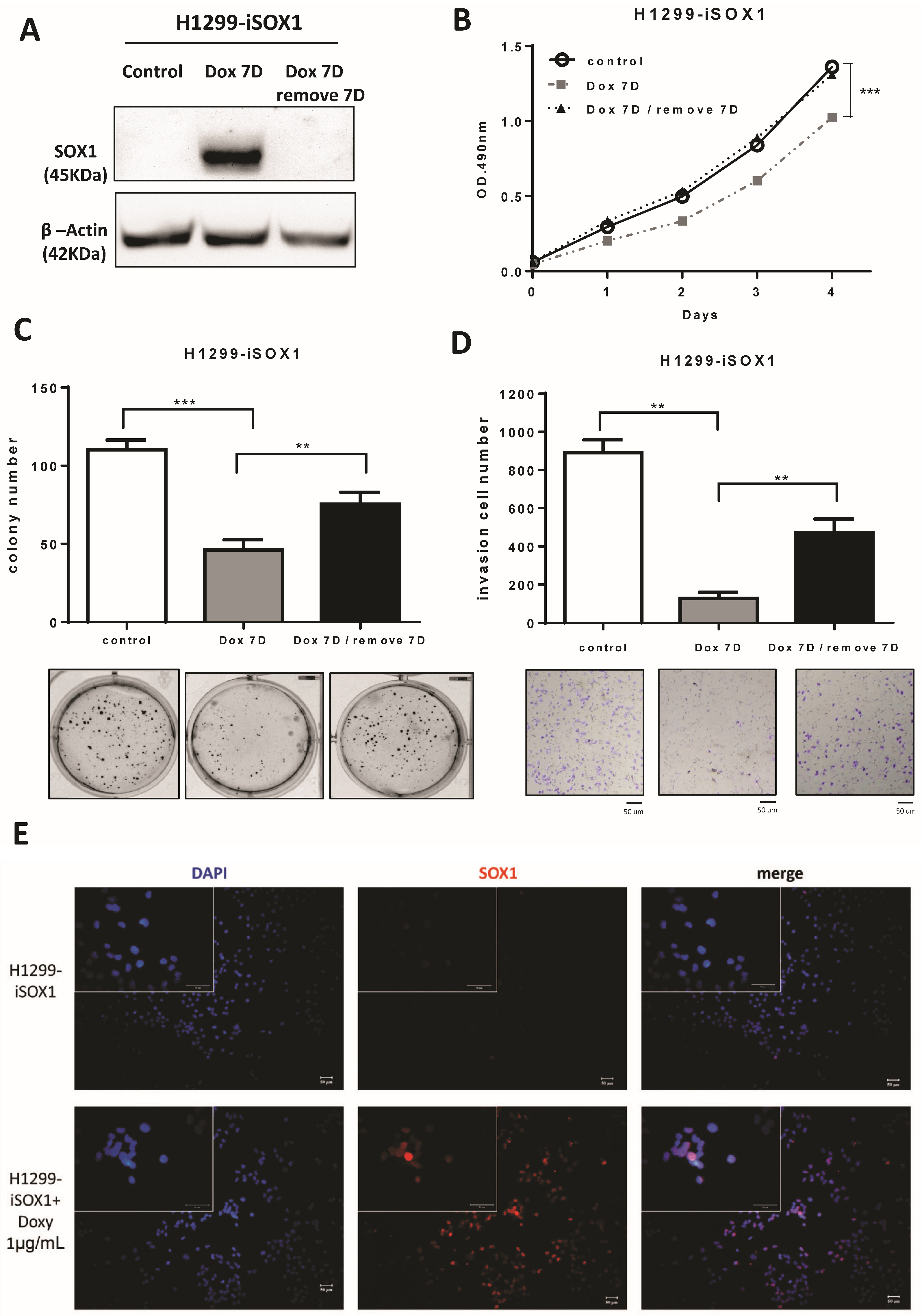 Cancers 15 02207 g004