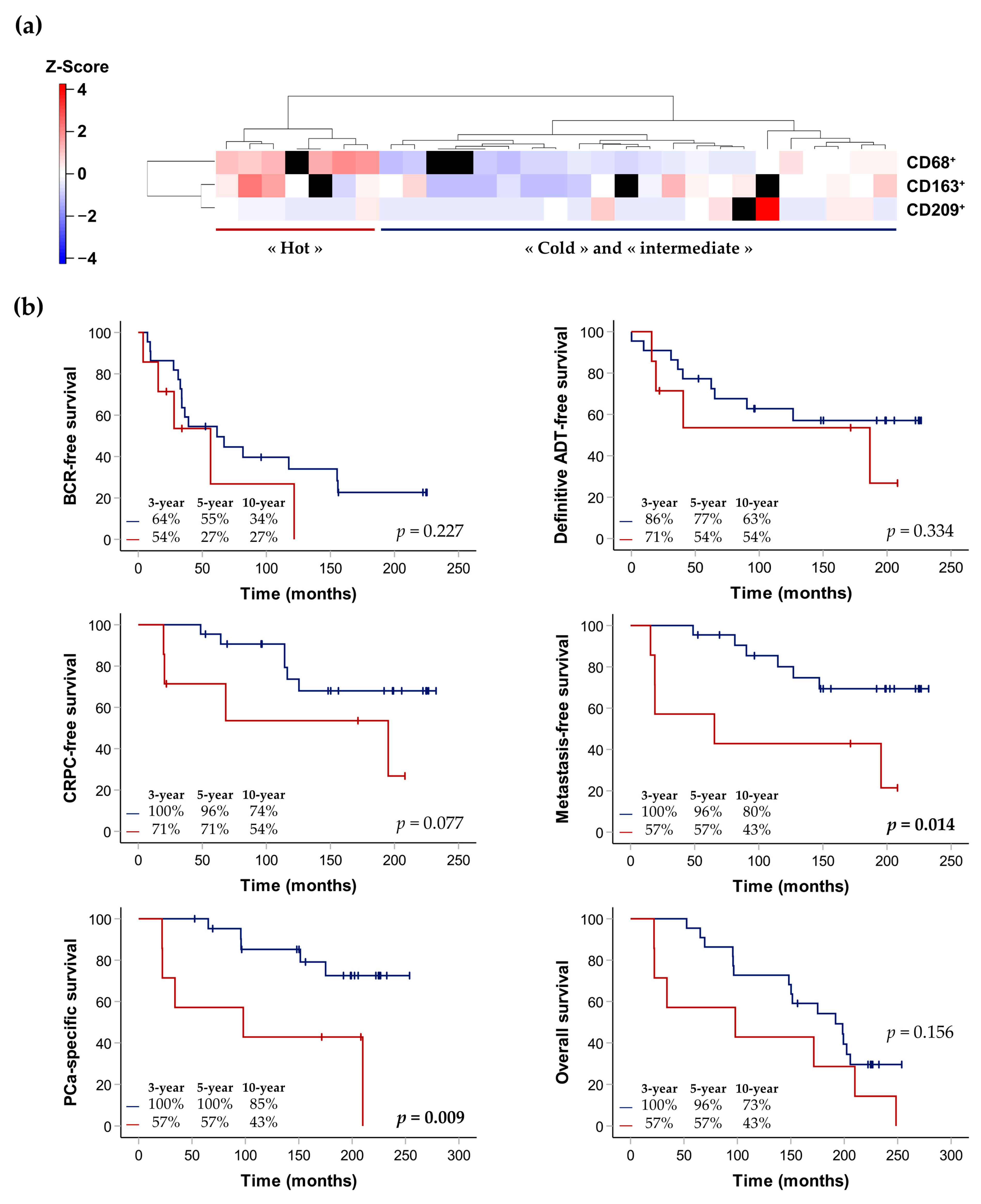Cancers 15 02217 g008