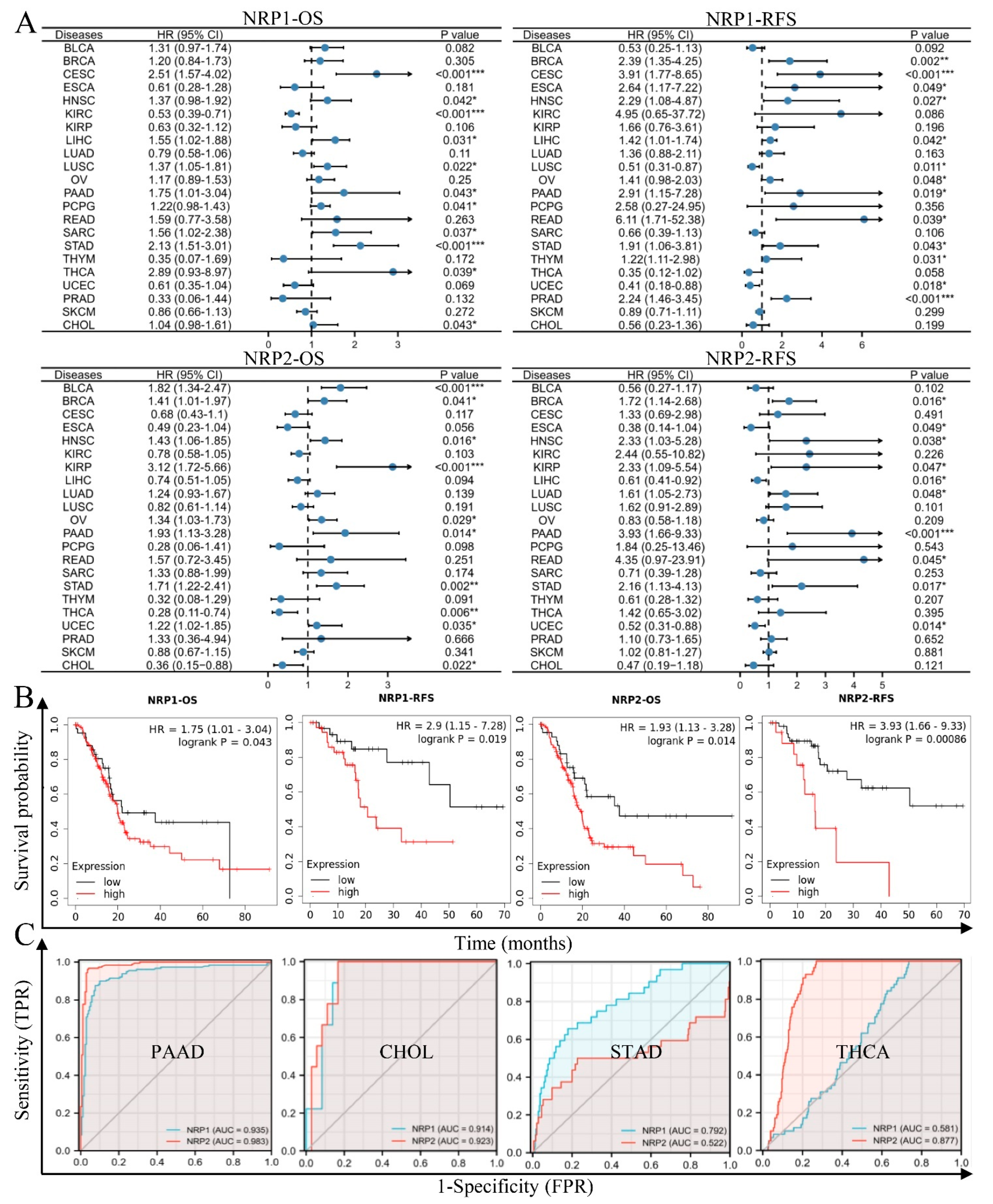 Cancers 15 02225 g003