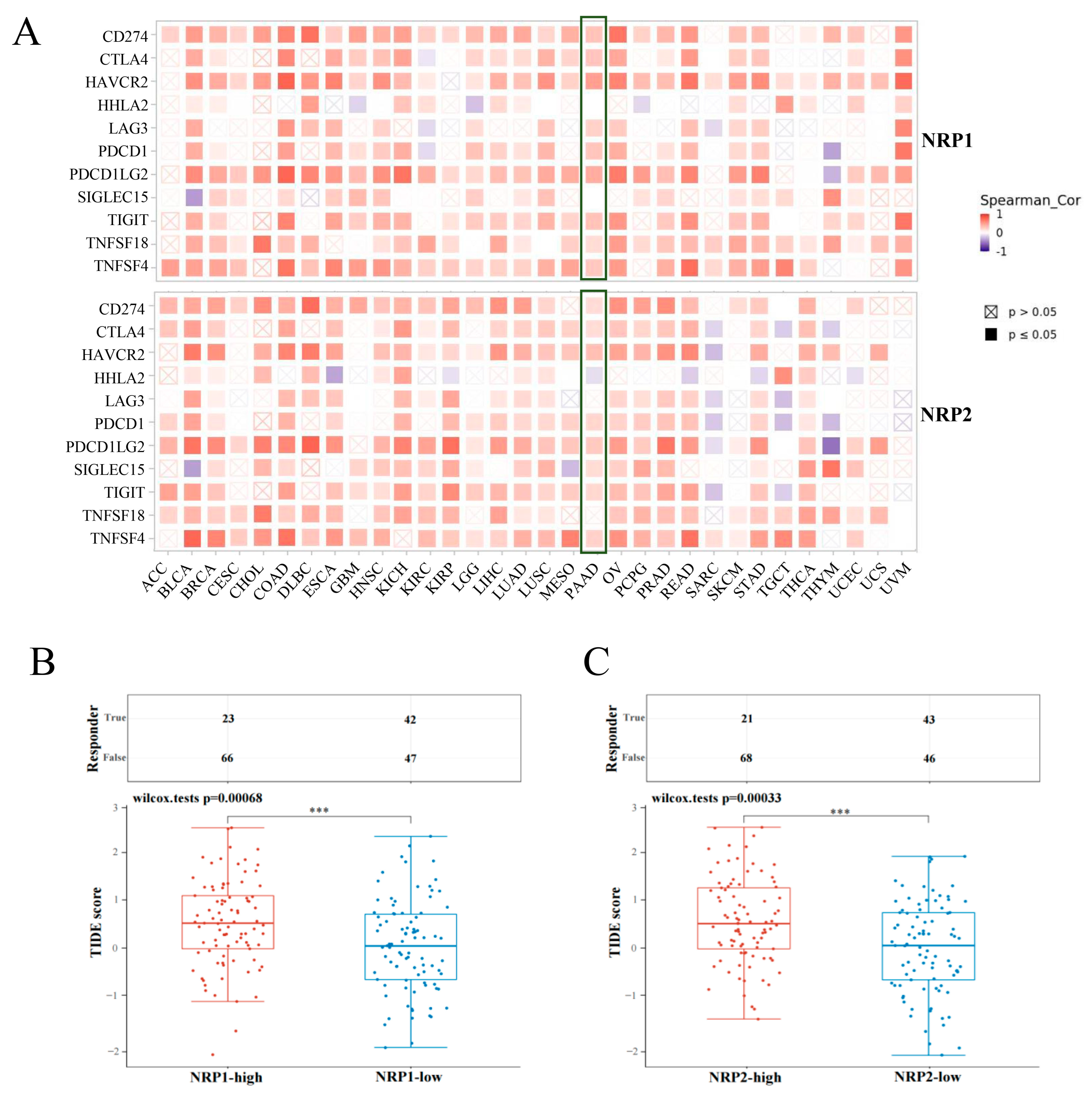 Cancers 15 02225 g005