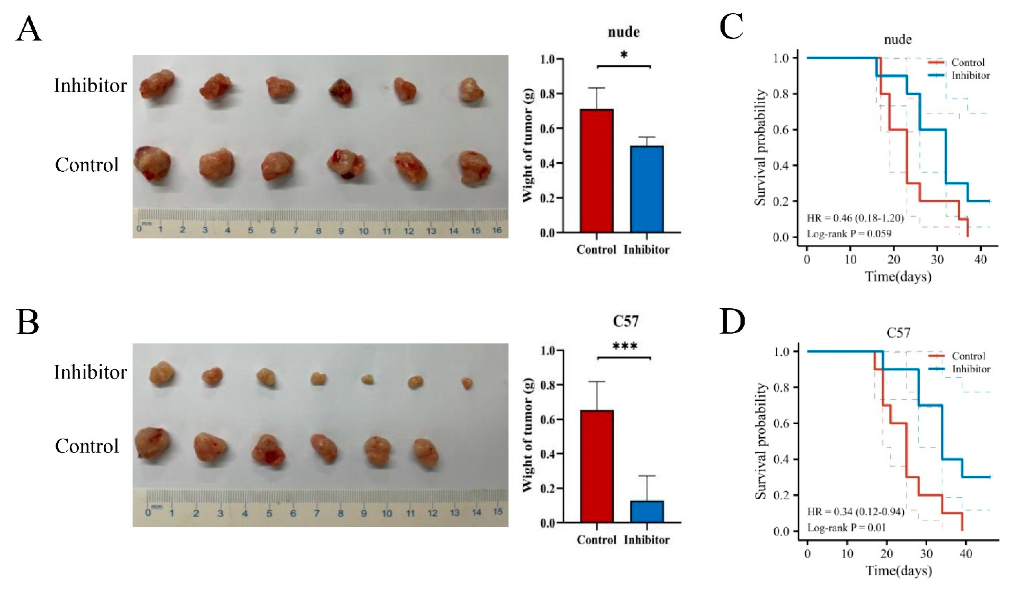 Cancers 15 02225 g007