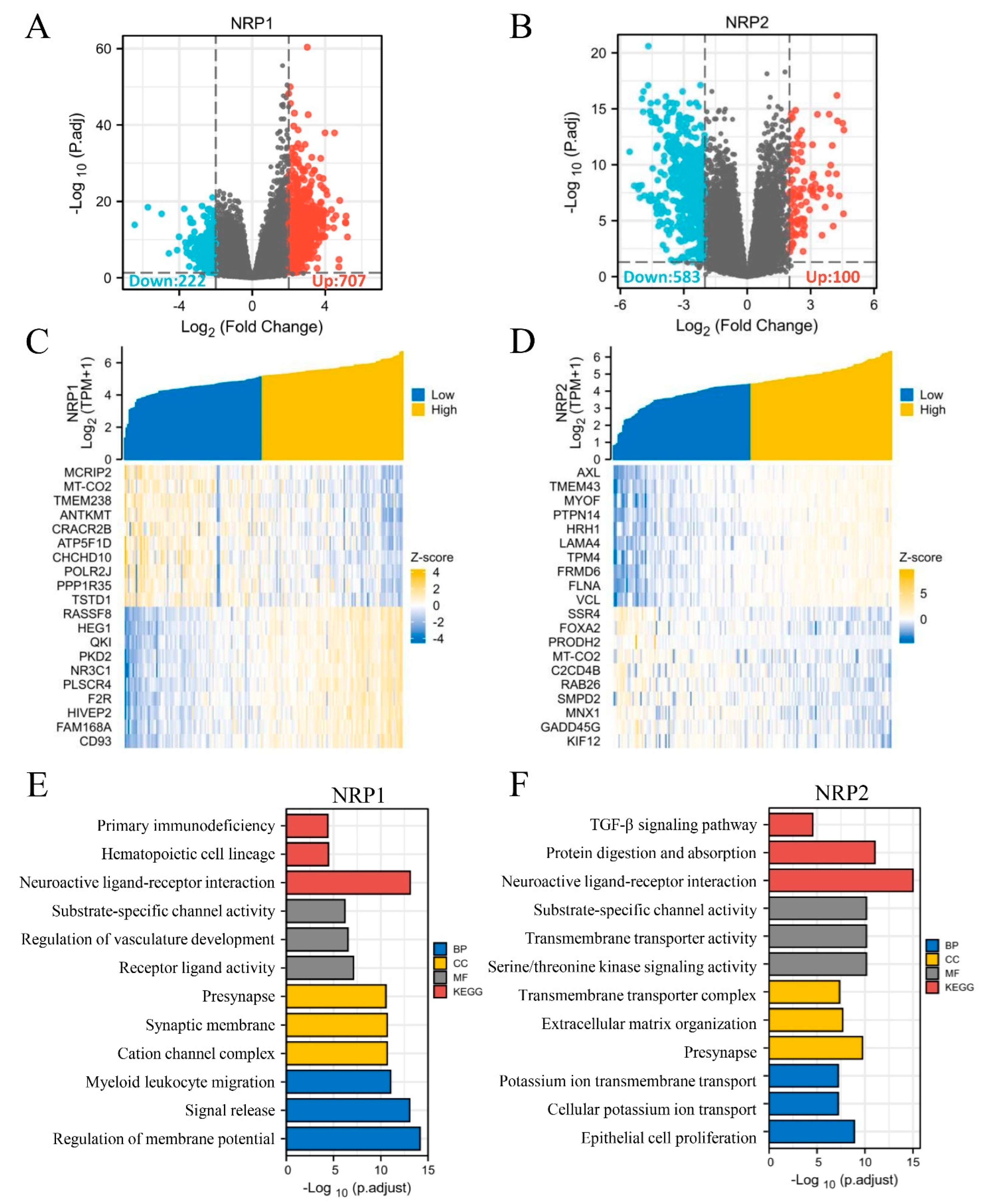 Cancers 15 02225 g008