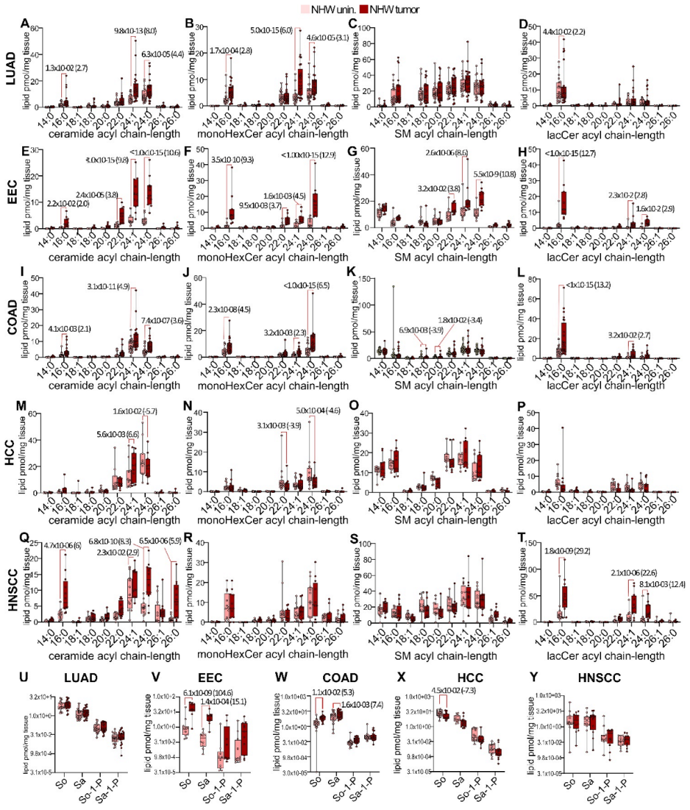 Cancers 15 02238 g003