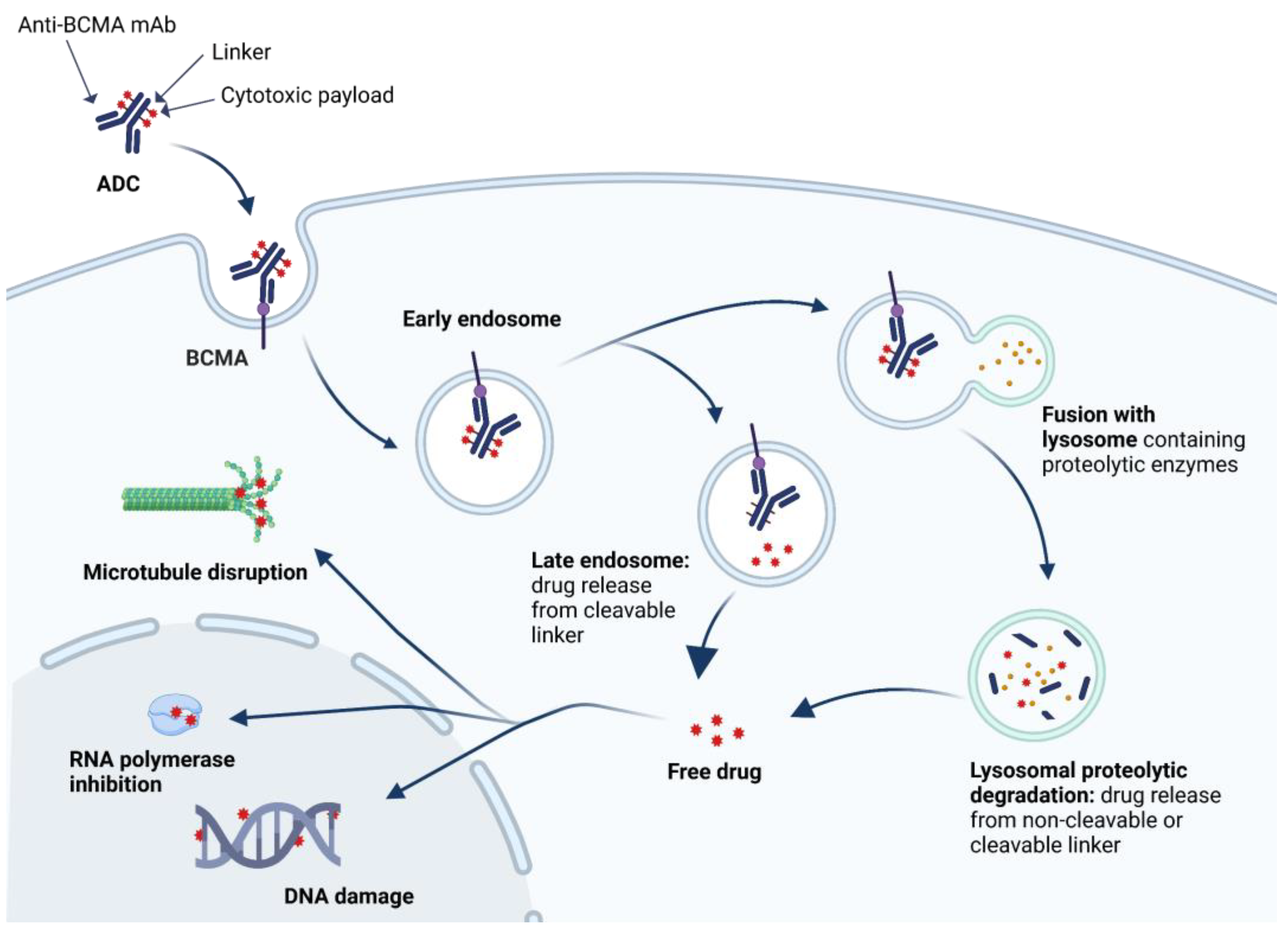 Cancers 15 02240 g001 Cancers 15 02240 g001