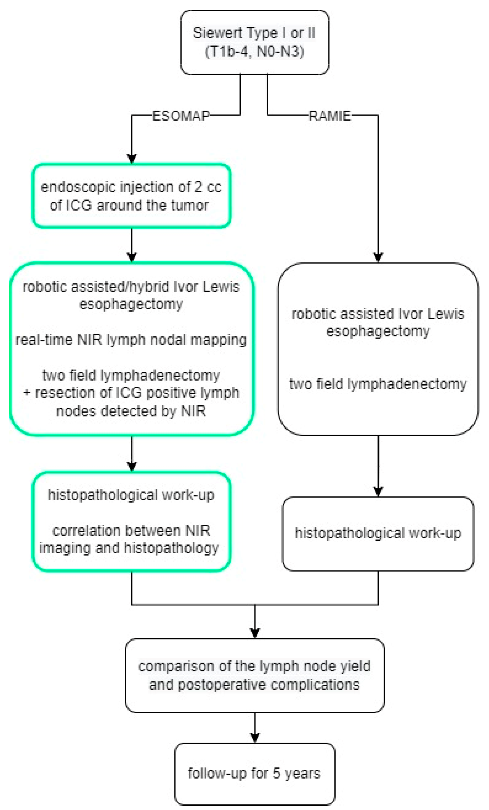 Cancers 15 02247 g001