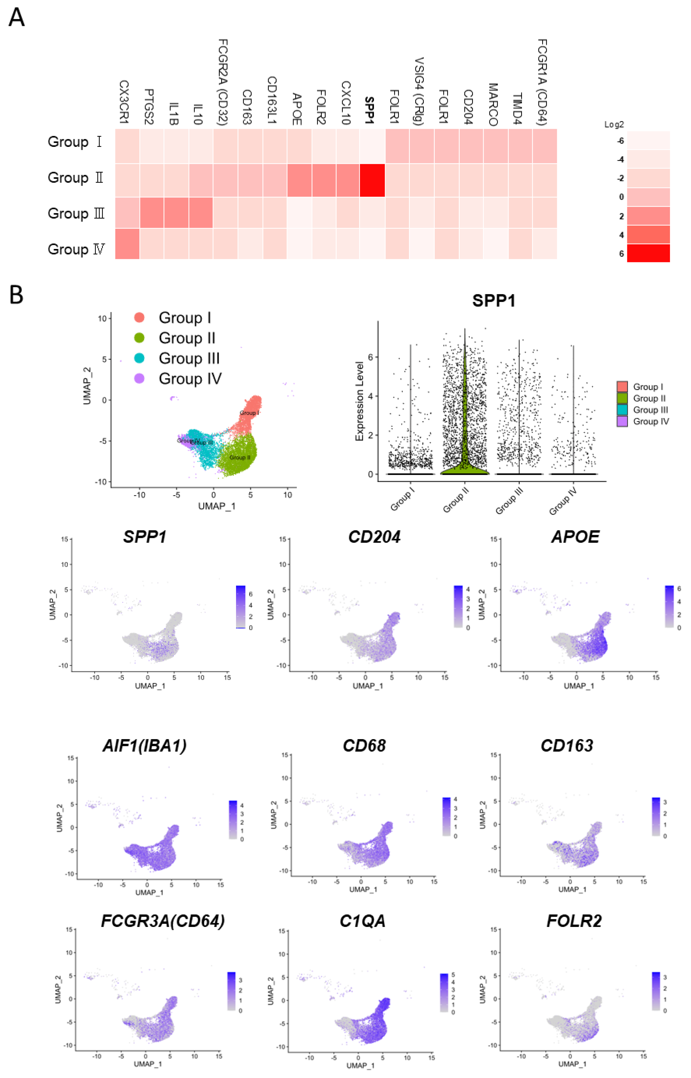 Cancers 15 02250 g002