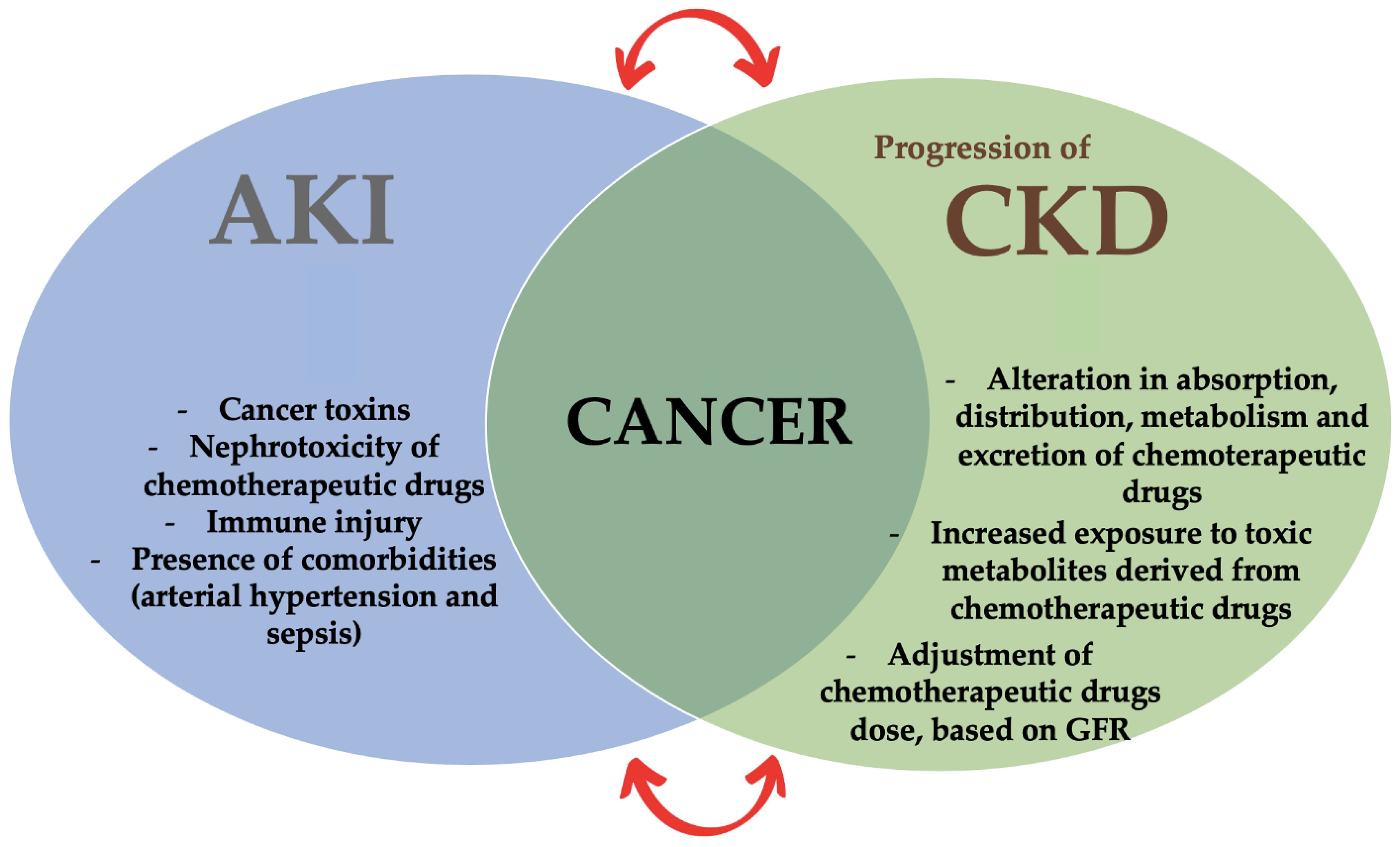 Cancers 15 02254 g001