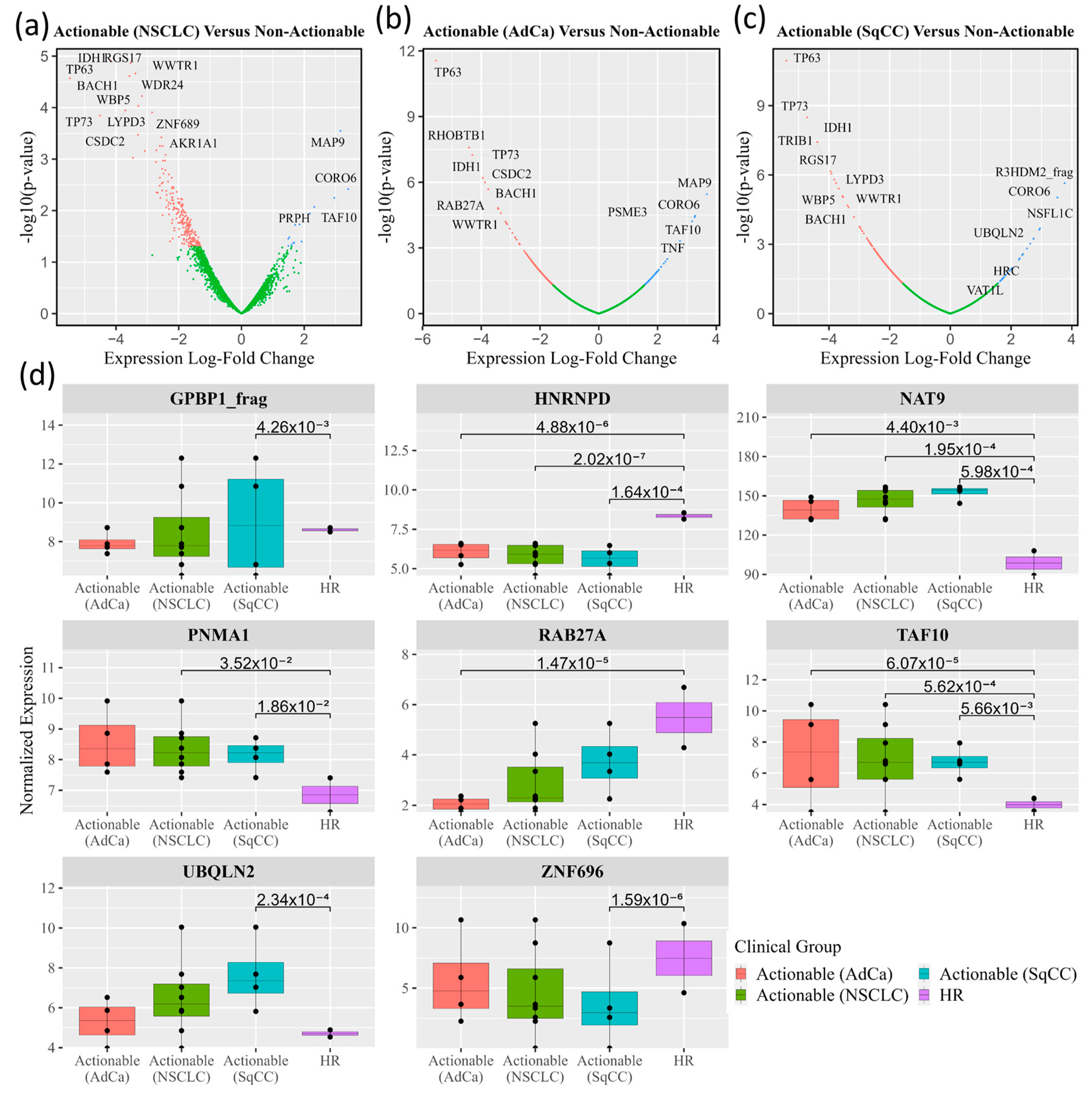 Cancers 15 02259 g002