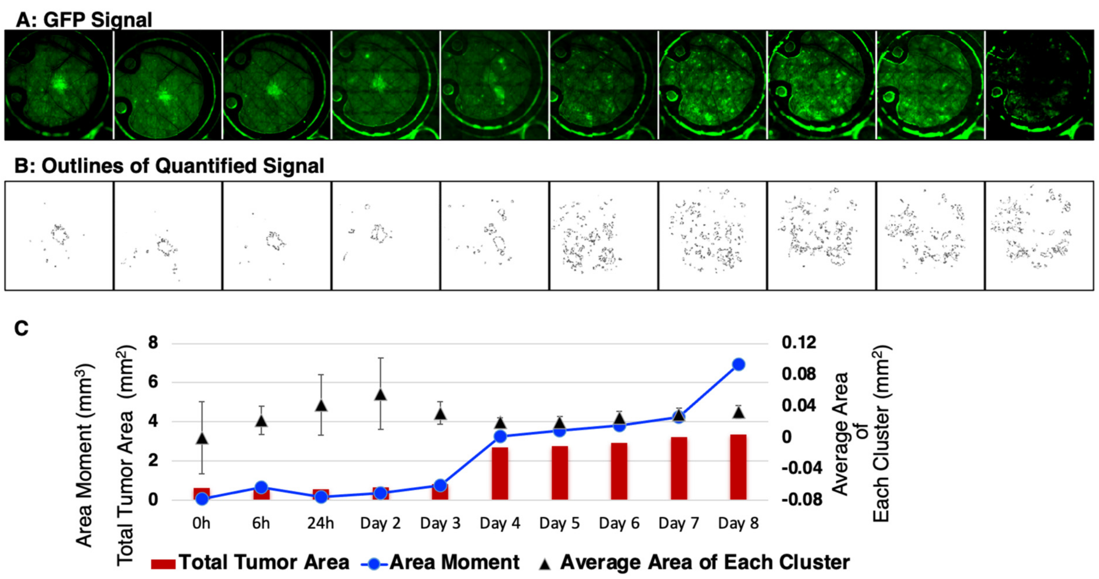 Cancers 15 02261 g006