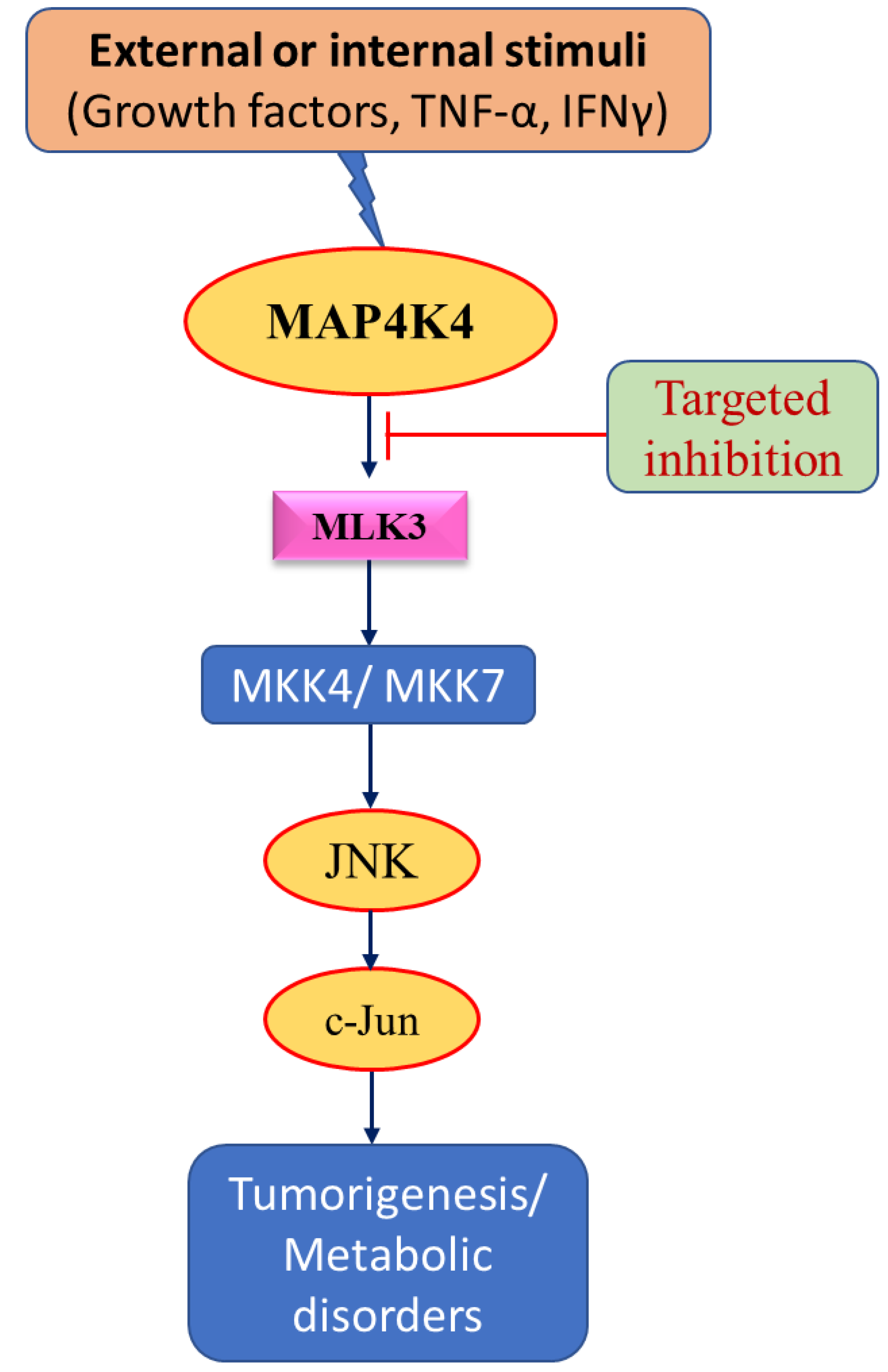 Cancers 15 02272 g004 Cancers 15 02272 g004