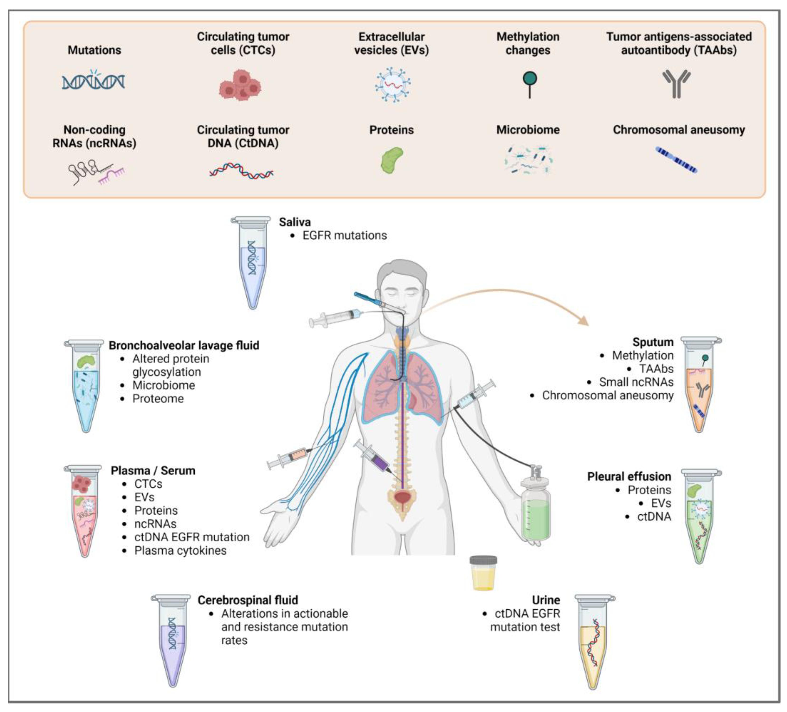 Cancers 15 02275 g001