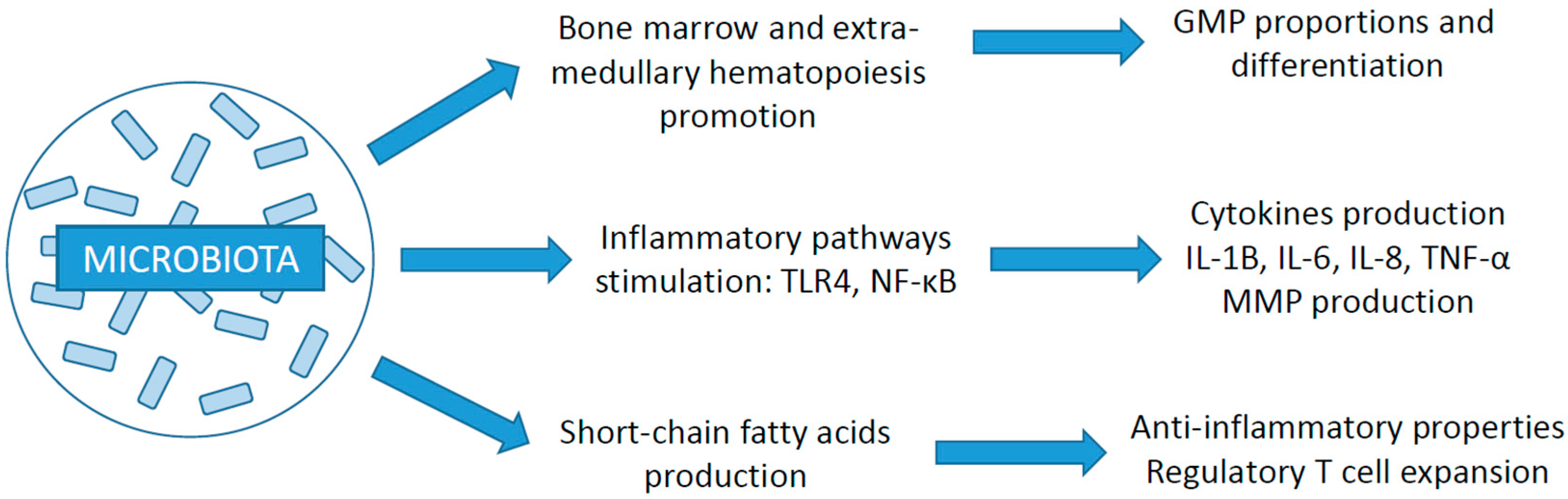 Cancers 15 02276 g001 Cancers 15 02276 g001