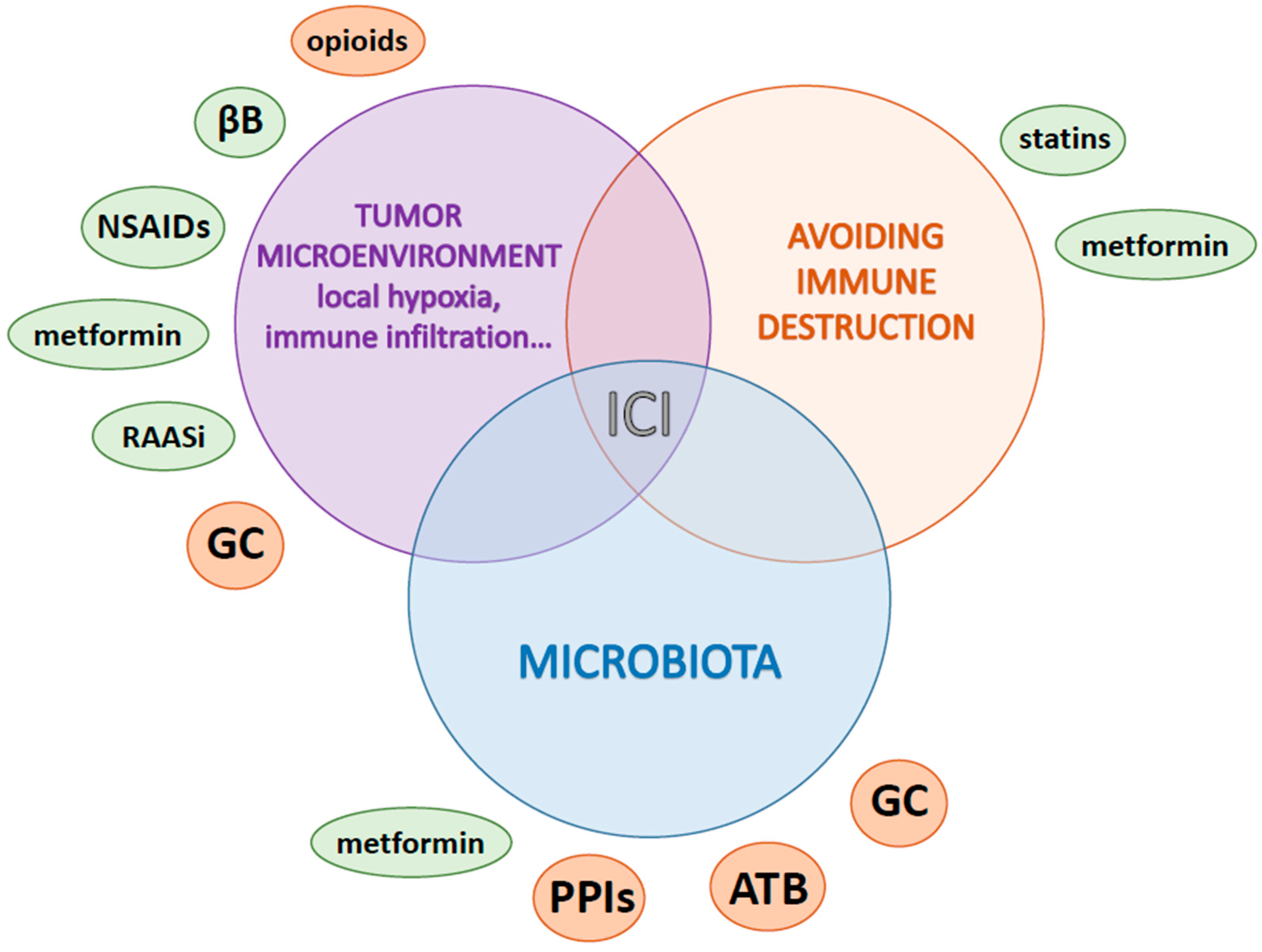 Cancers 15 02276 g002 Cancers 15 02276 g002