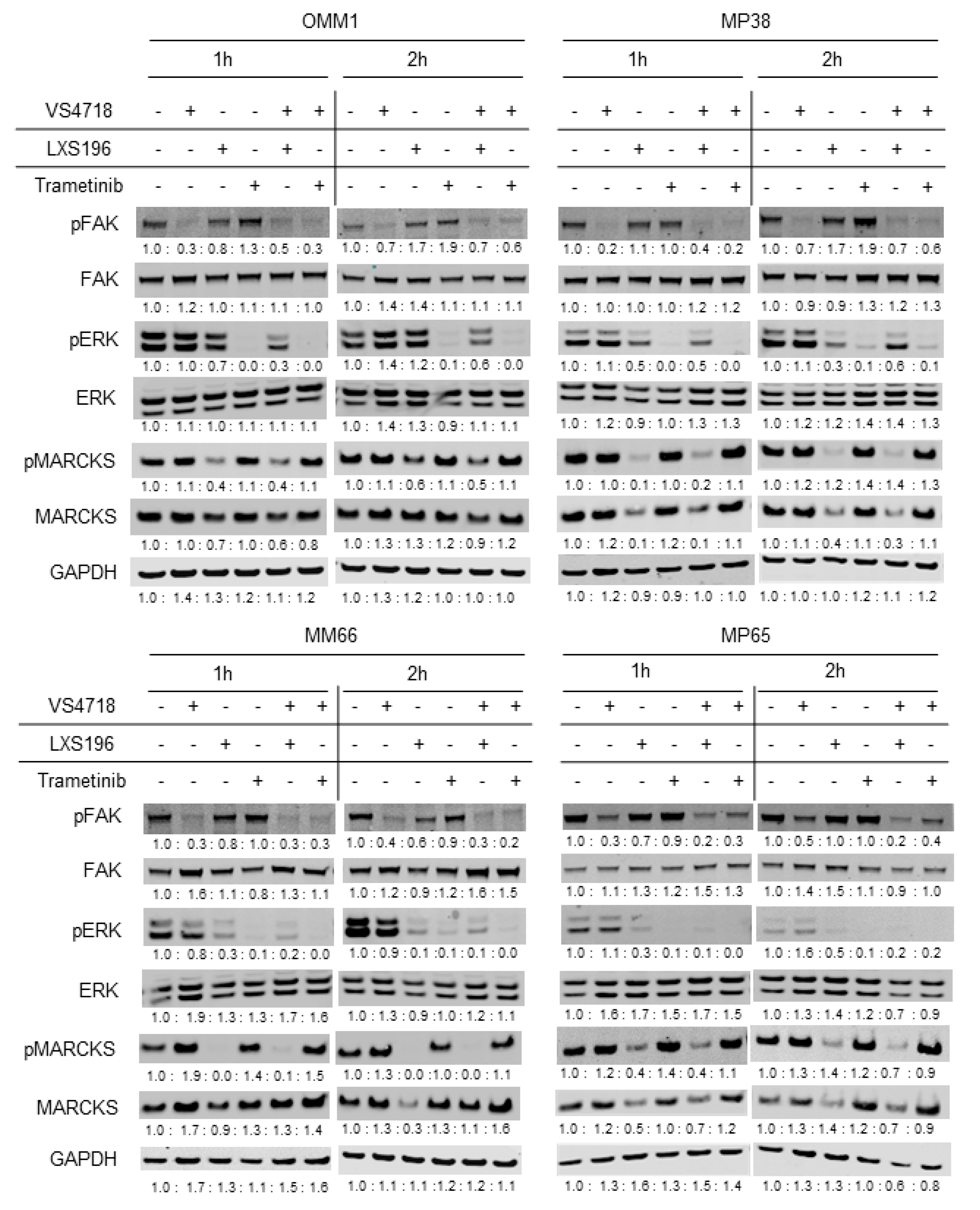 Cancers 15 02280 g003