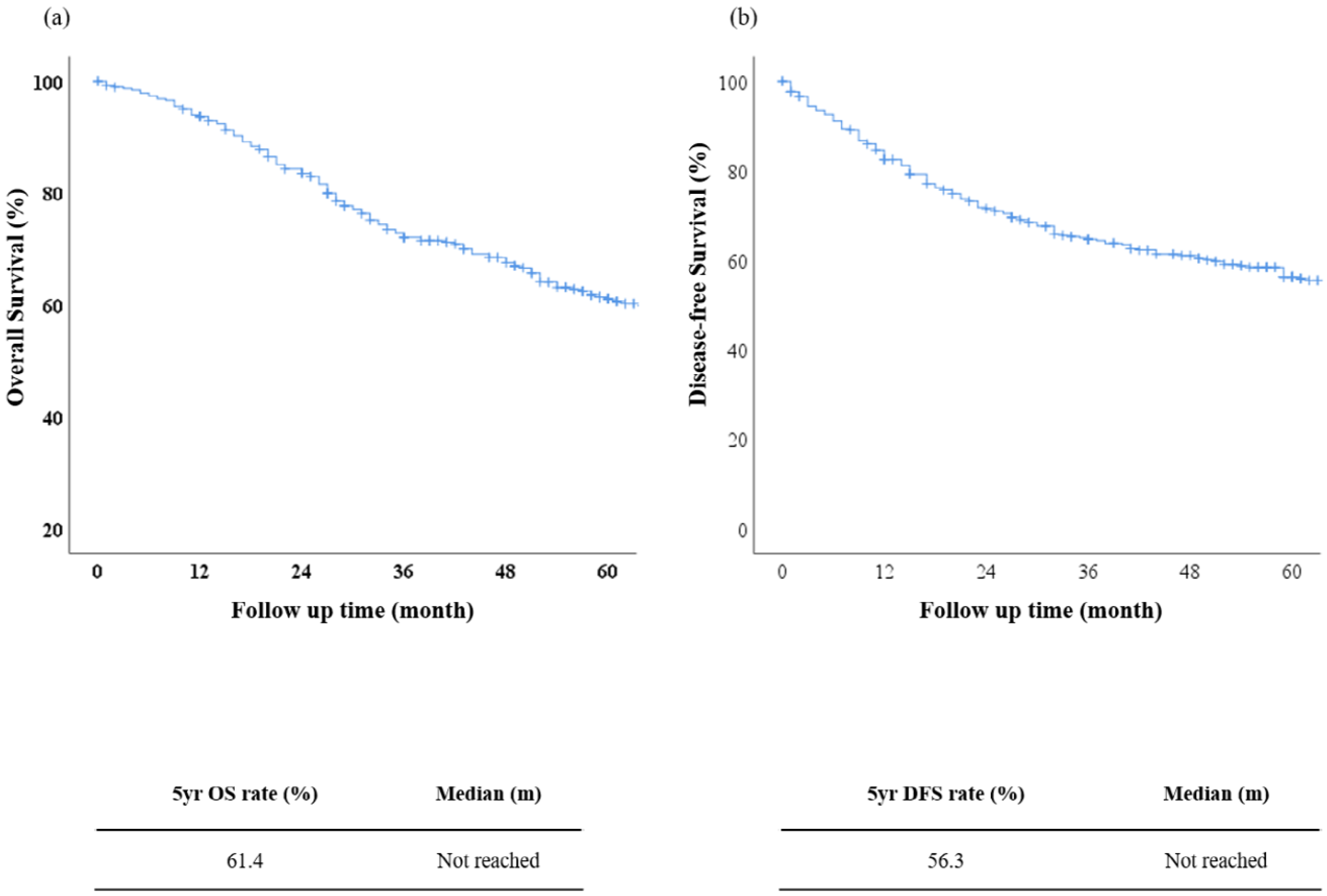 Cancers 15 02281 g002