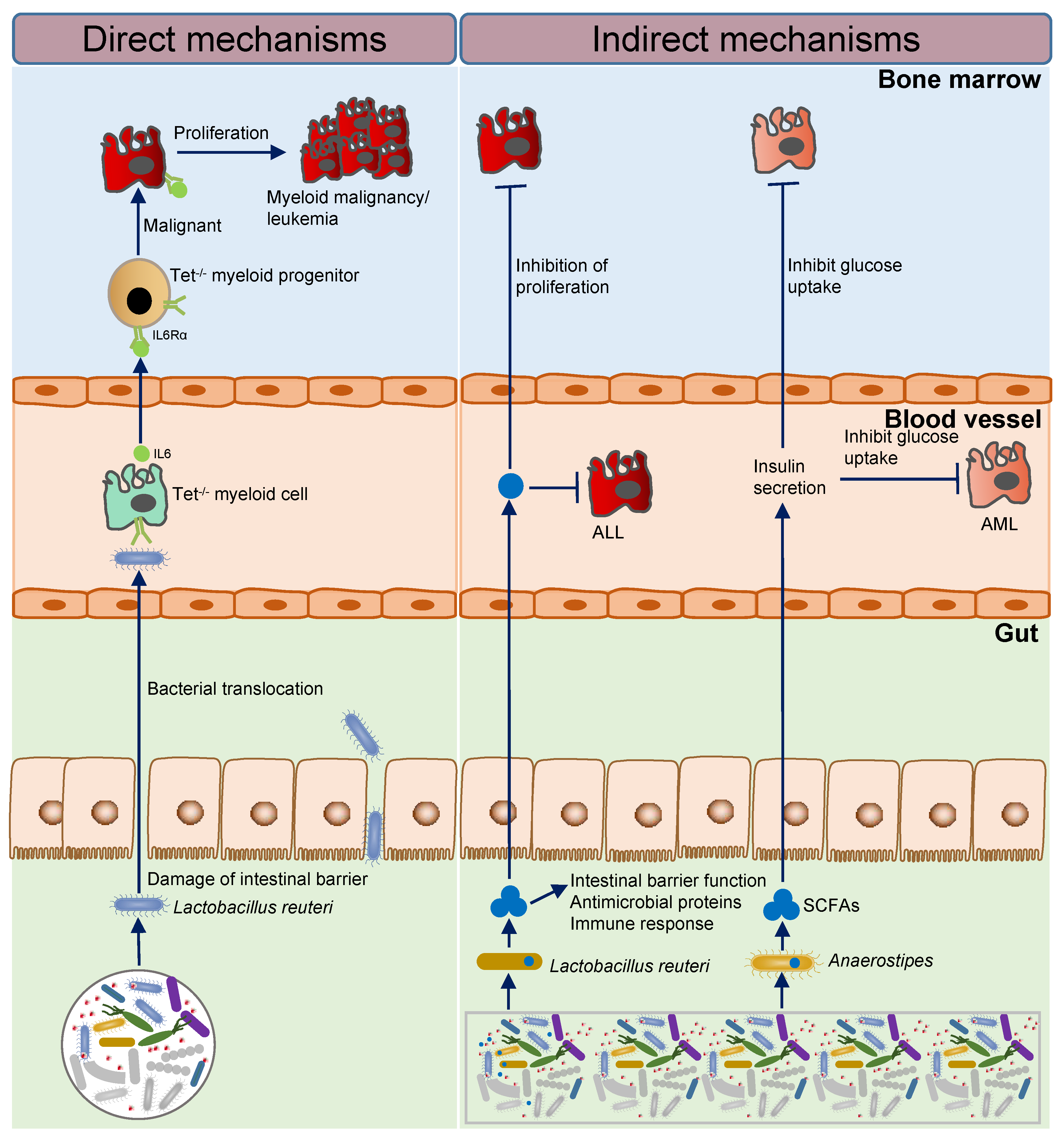 Cancers 15 02284 g001